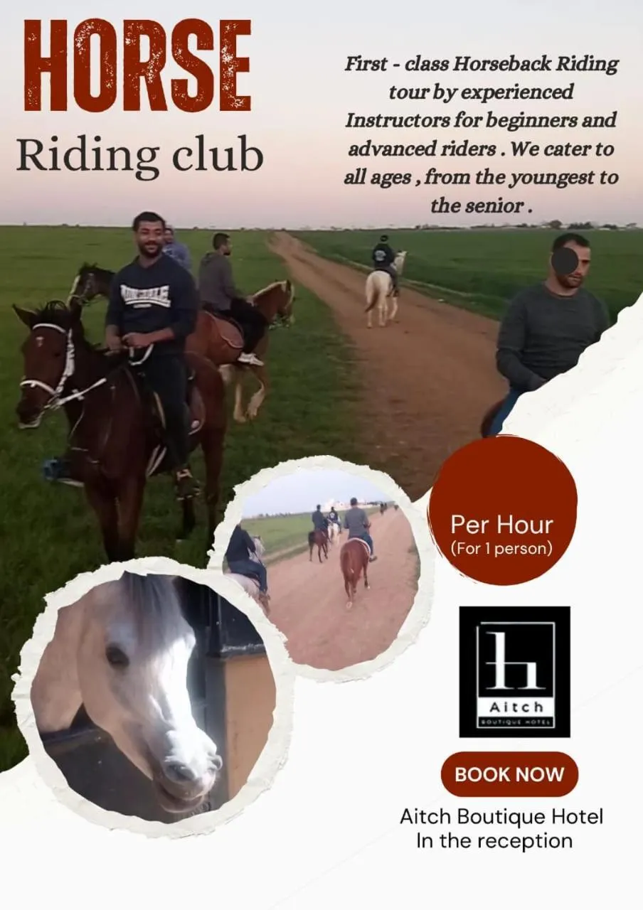 Activities in Aitch Boutique Hotel - an LIH Hotel