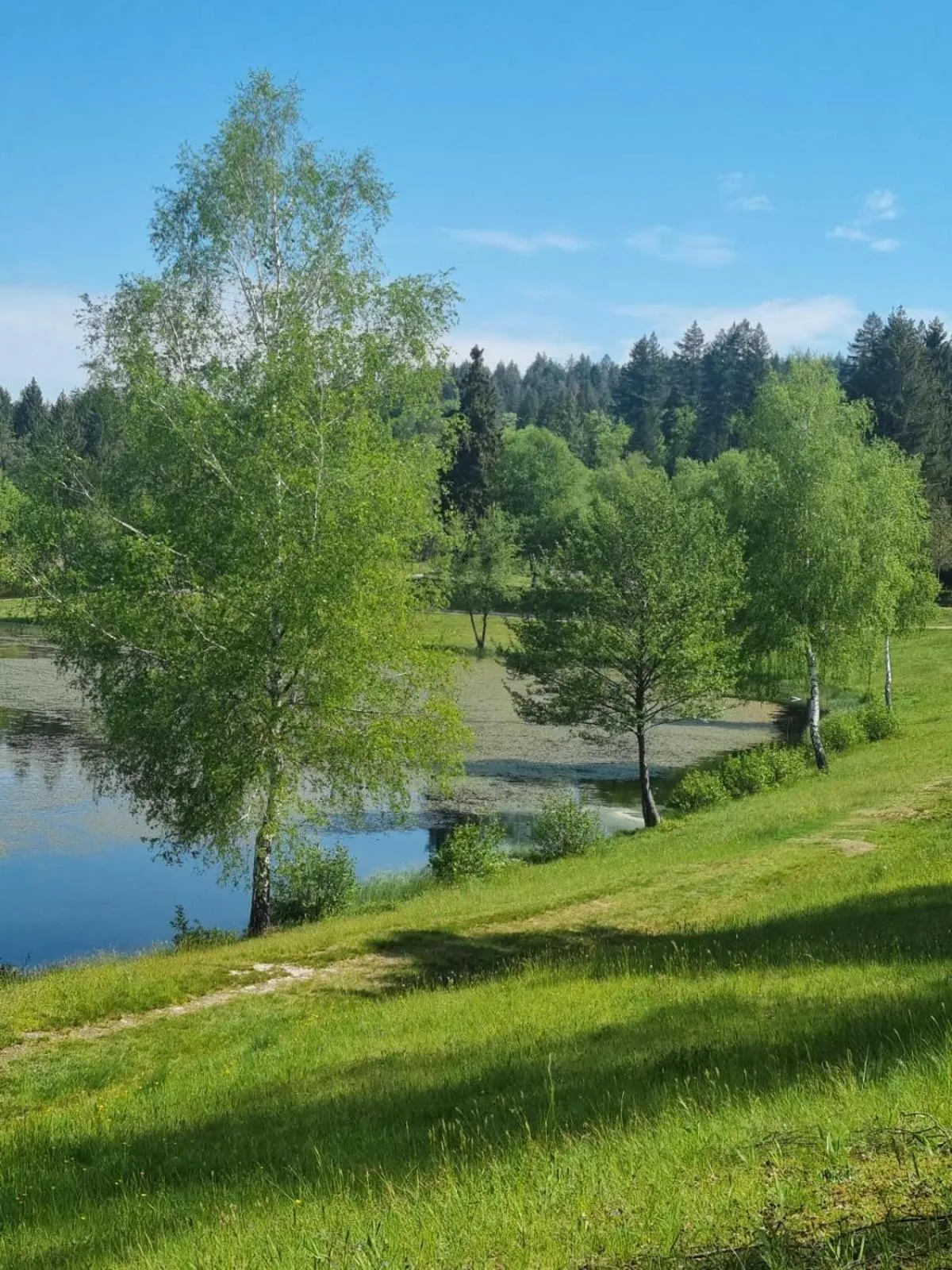 Area and facilities in L'AnciennePoste