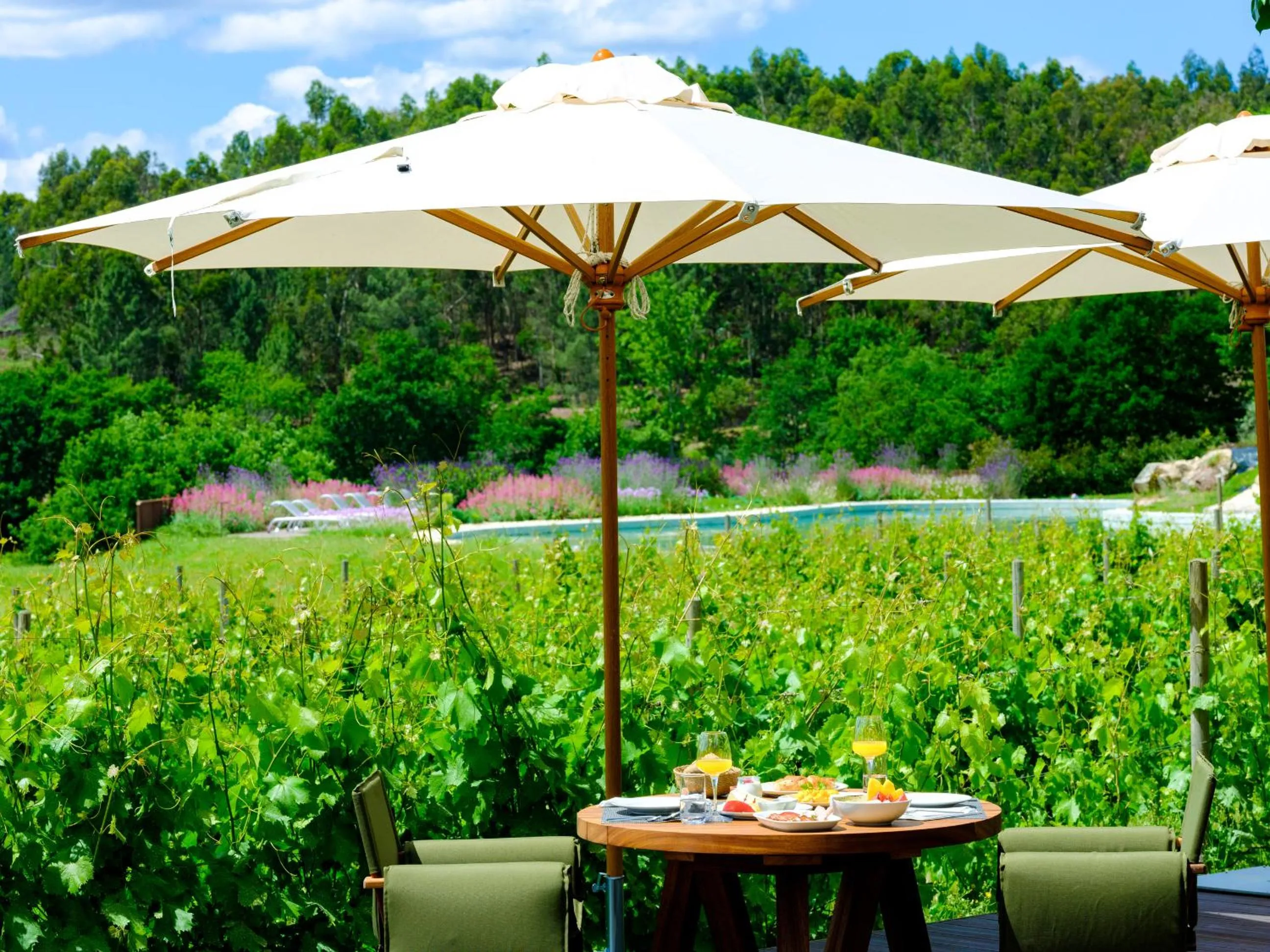 Natural landscape in Lavandeira Douro Nature & Wellness