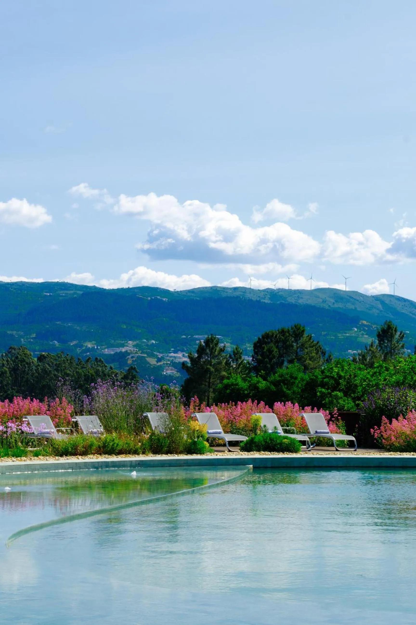 Natural landscape in Lavandeira Douro Nature & Wellness