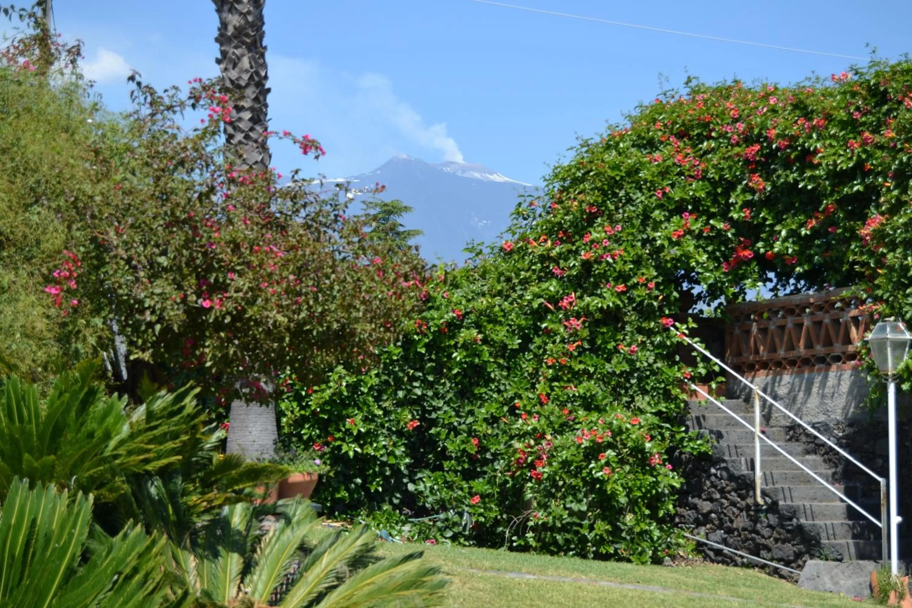 View (from property/room) in B&B La Casa del Ficus