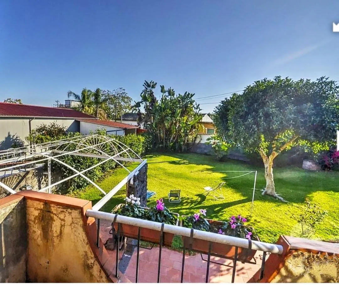 Balcony/Terrace in B&B La Casa del Ficus