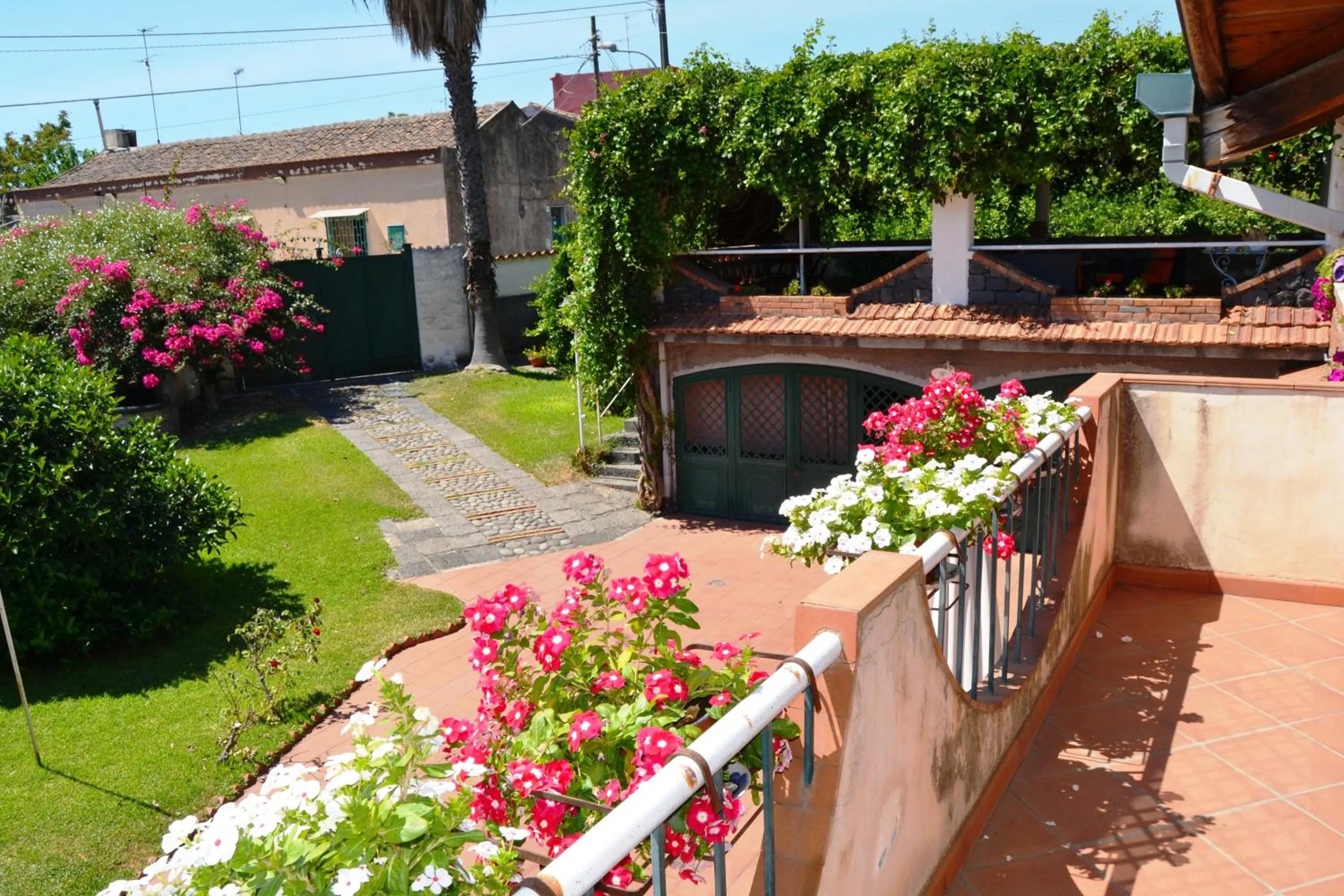 Balcony/Terrace in B&B La Casa del Ficus