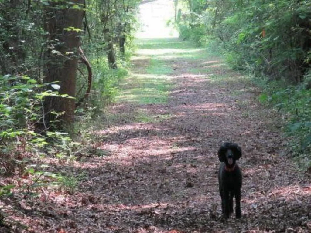 Other in Oak Grove Bed and Breakfast