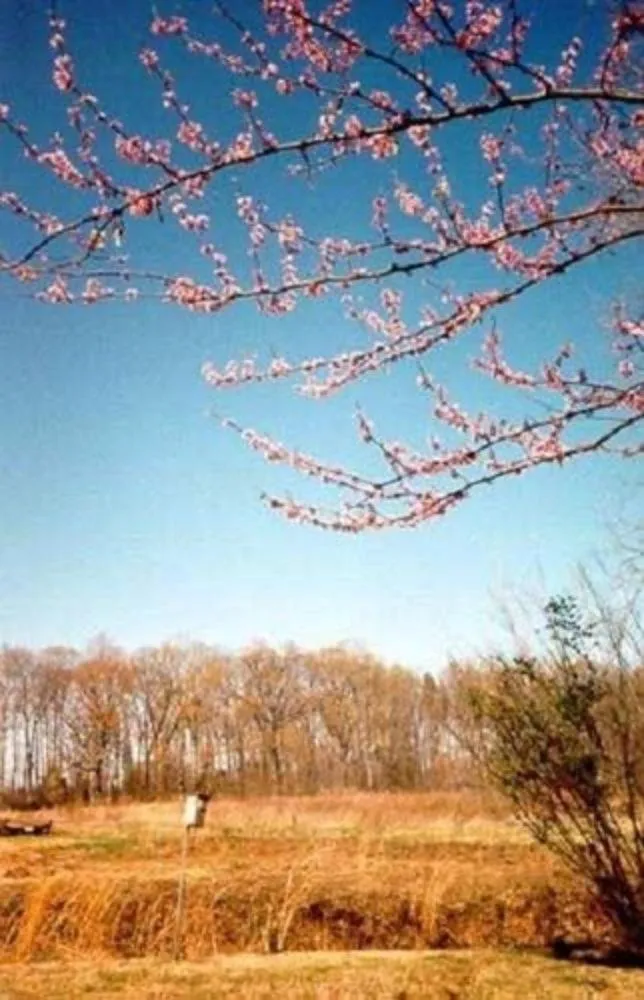 View (from property/room) in Oak Grove Bed and Breakfast