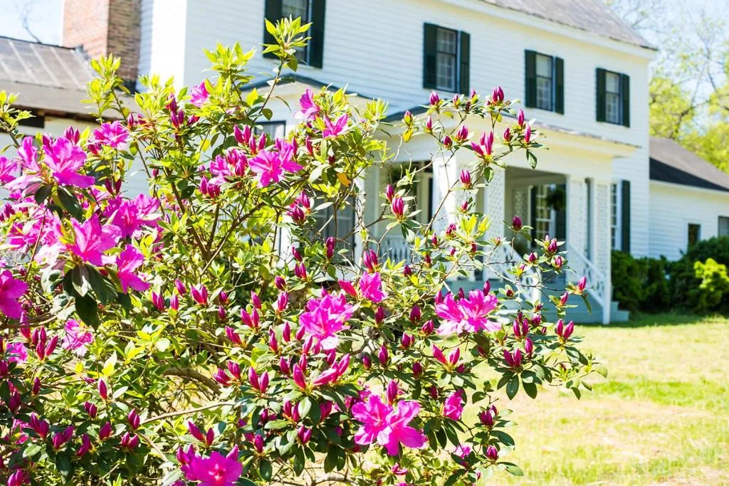 Property building in Oak Grove Bed and Breakfast