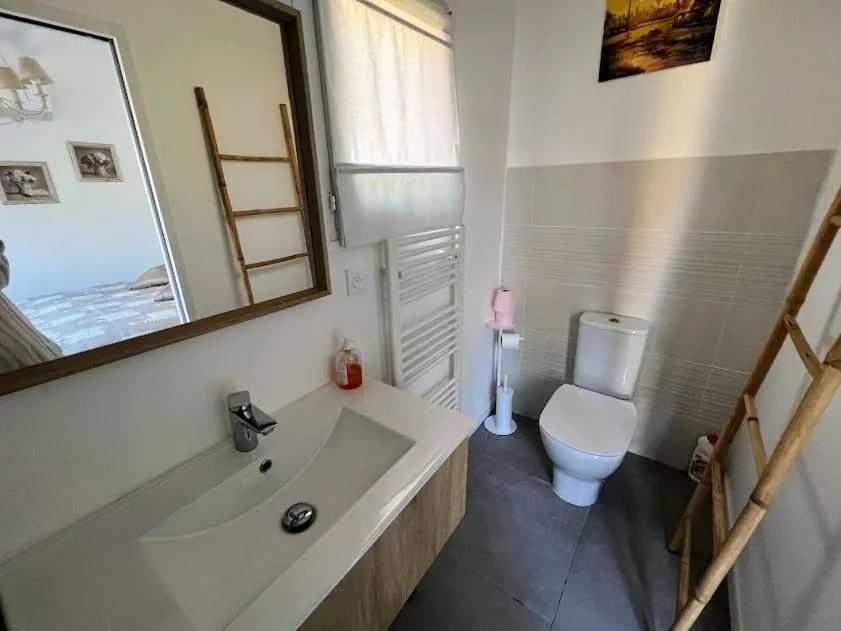 Toilet in Bastidon Provençal - Patio privé, Piscine - Charme