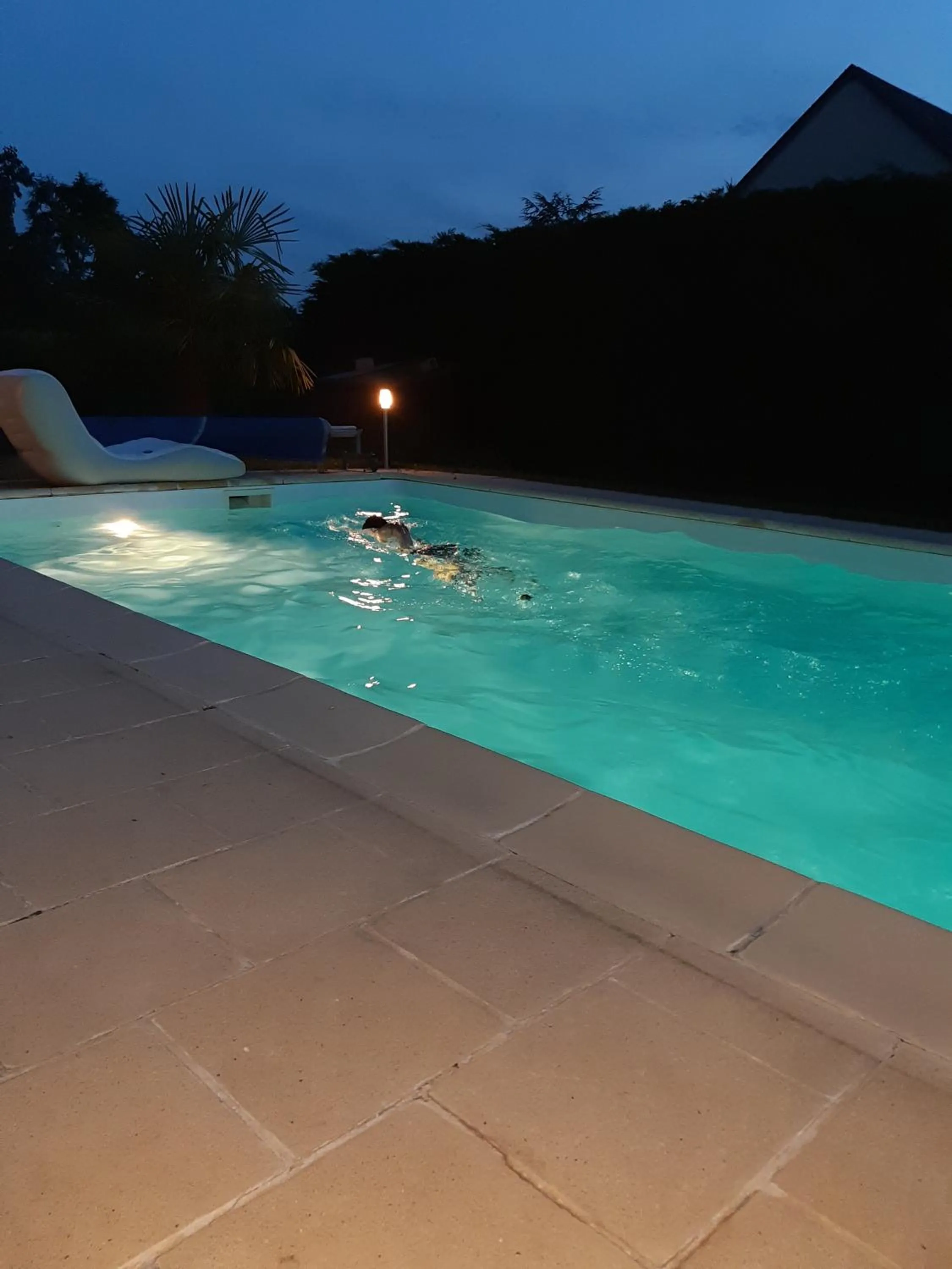 Swimming pool in Les Cormiers
