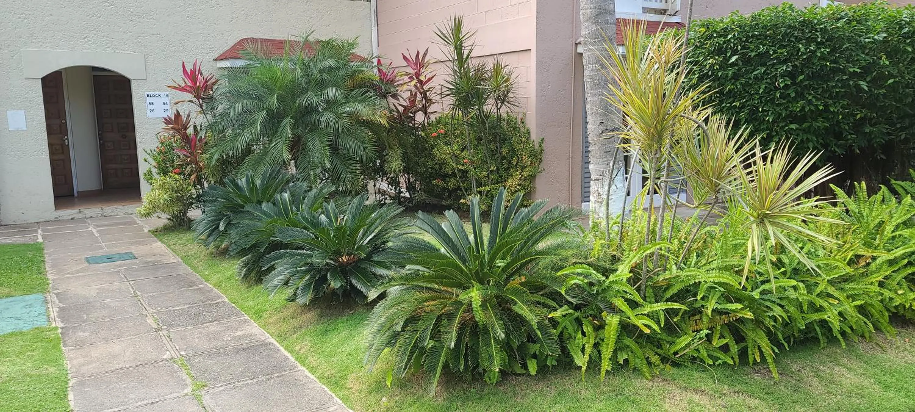 Garden in Fisherman's Point