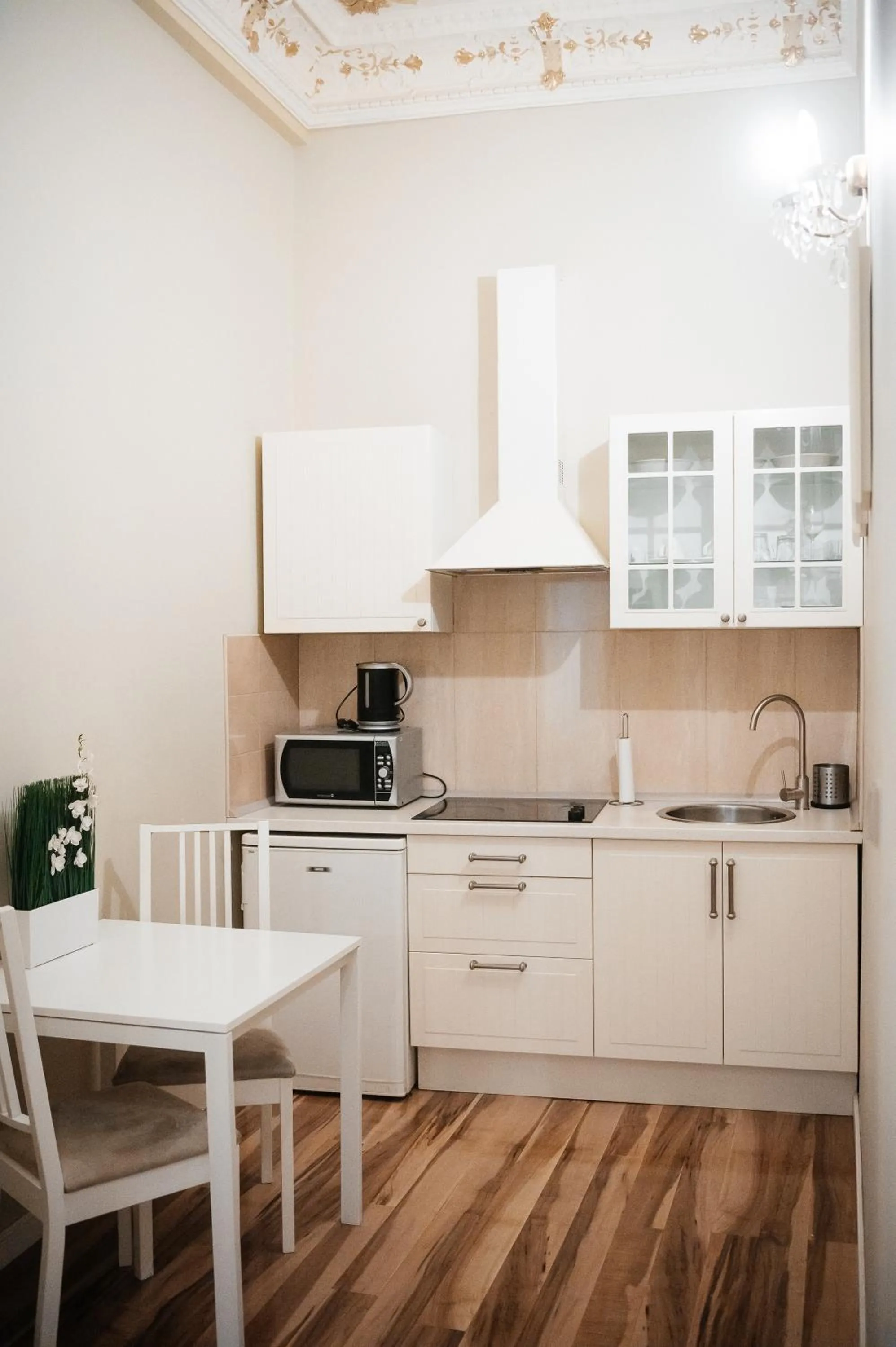 Kitchen or kitchenette in Alisa Hotel