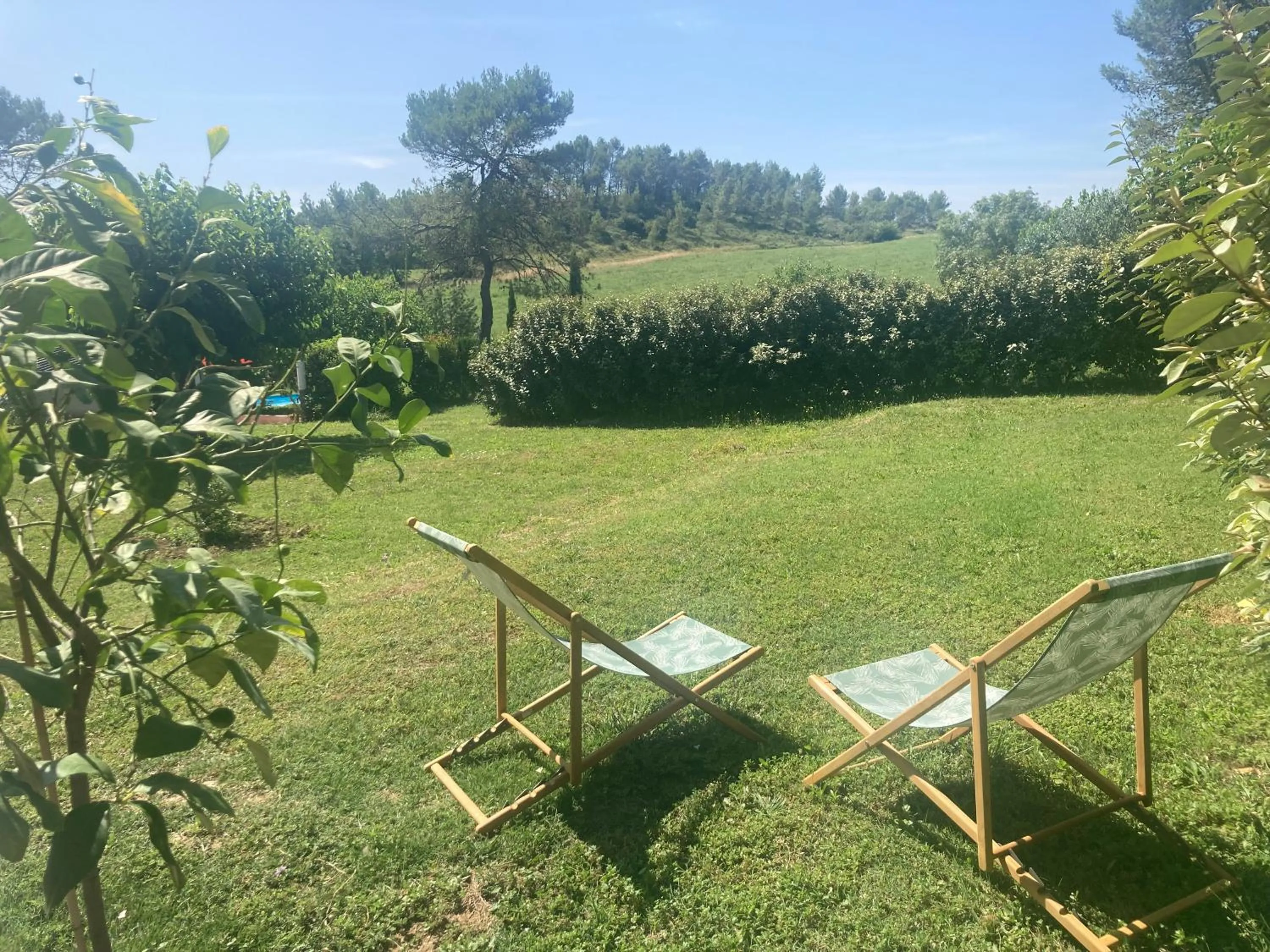 Natural landscape, Garden in LE MAS de PAUL