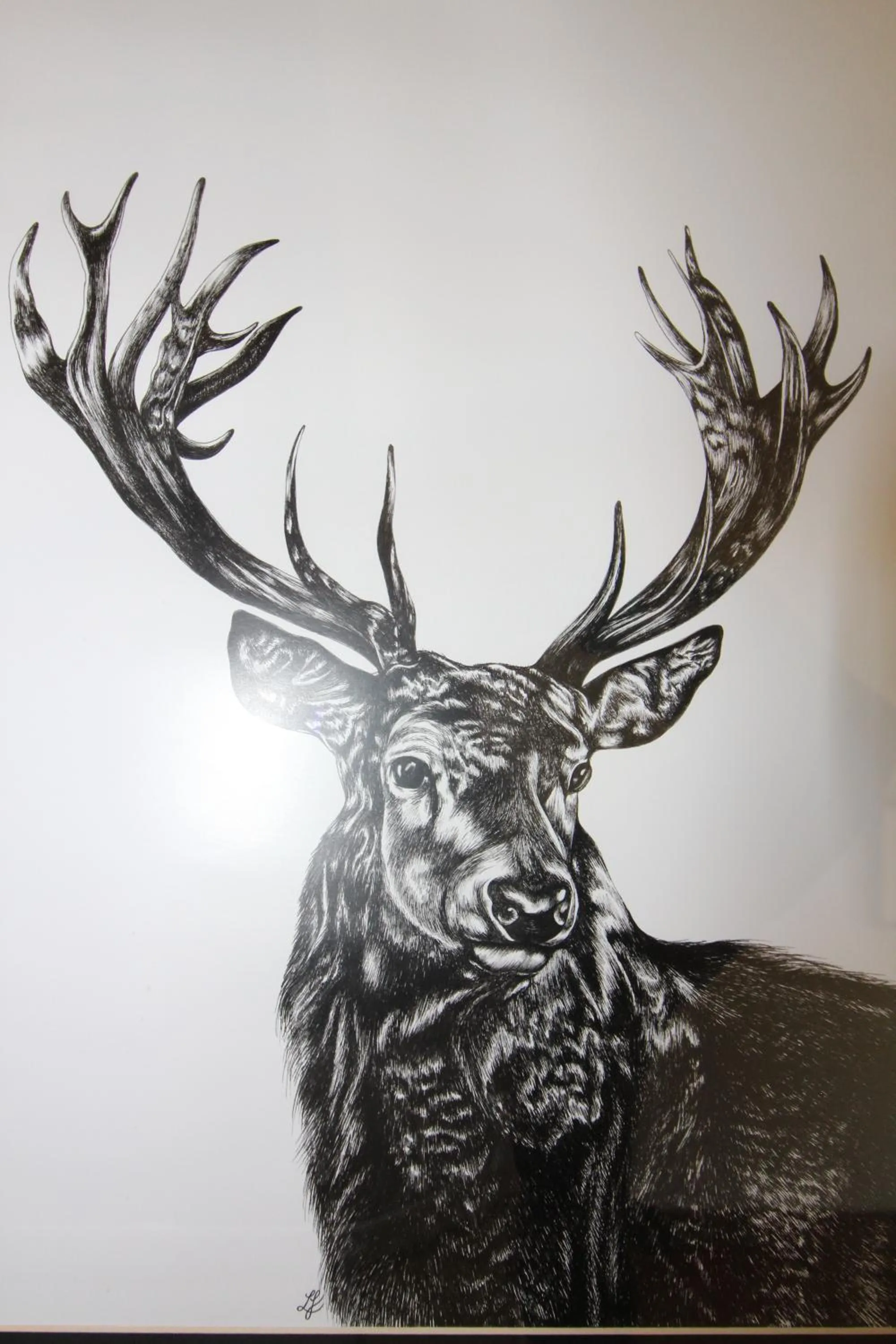 Decorative detail in Melorne Farm Guest House