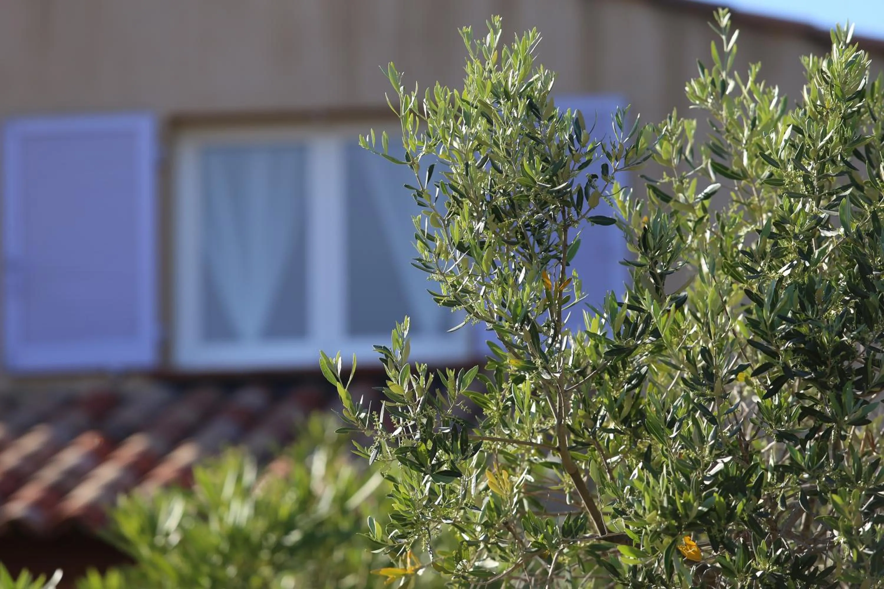 Facade/entrance in Casa Mia