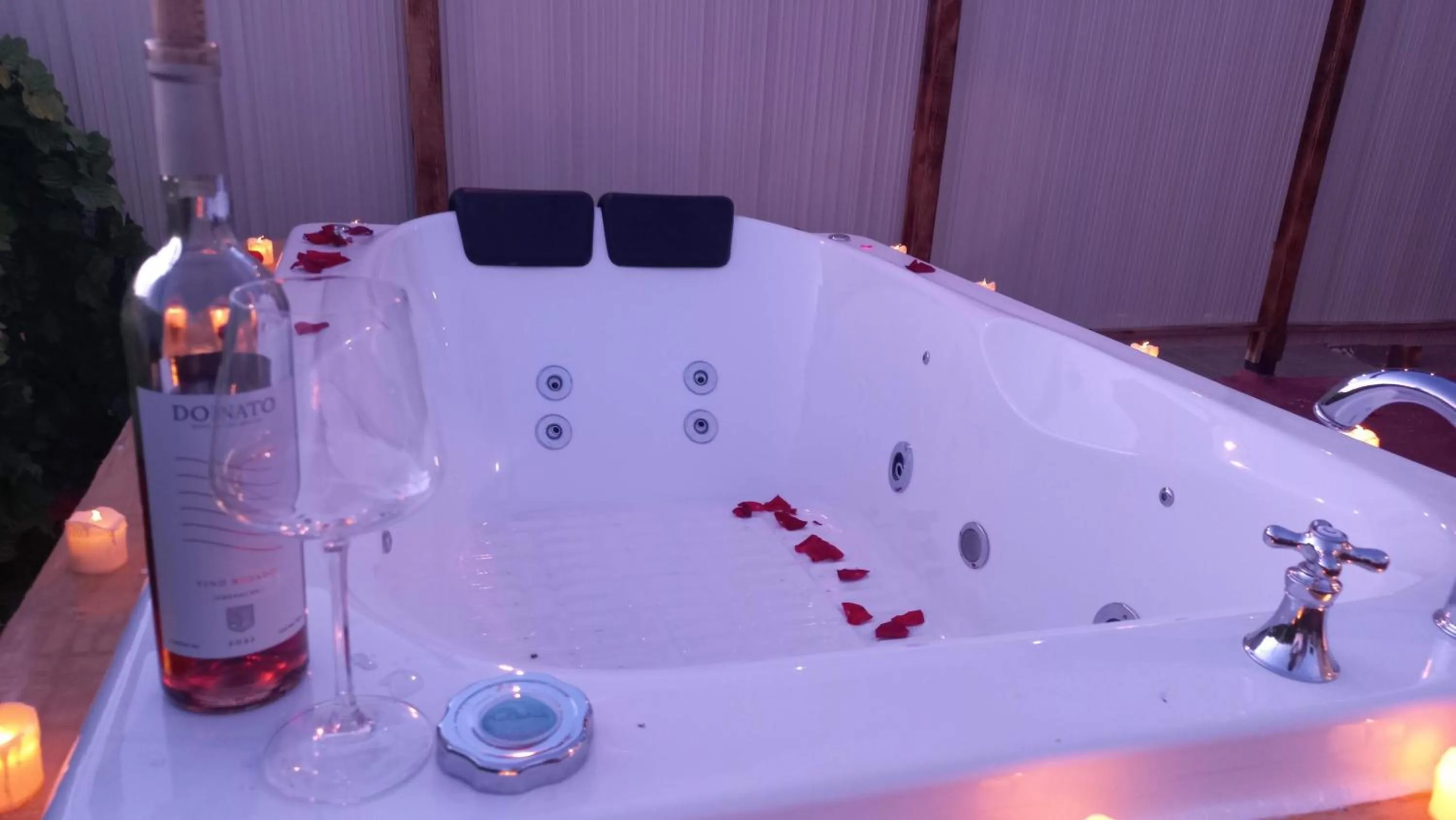 Hot Tub in Hotel Peña Florencia