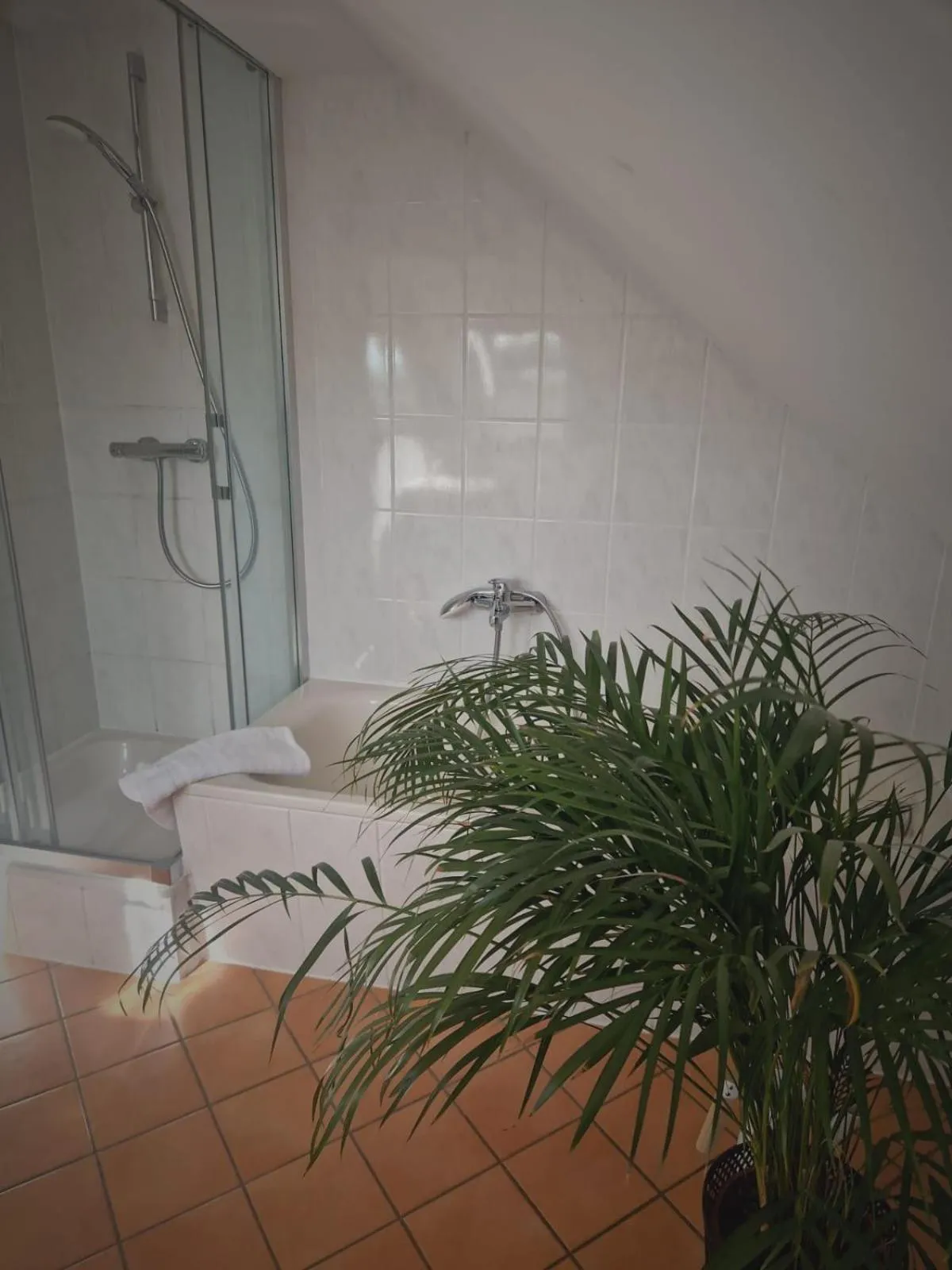 Shower in Villa Ludwigsburg