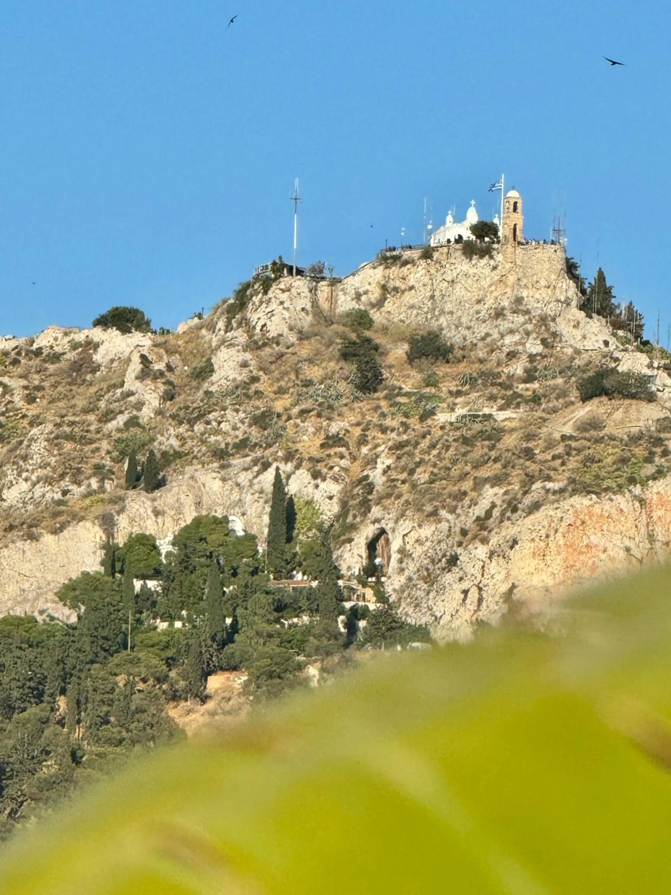 Garden in Athens The L7 Str - Luxury Boutique Collection Hotel