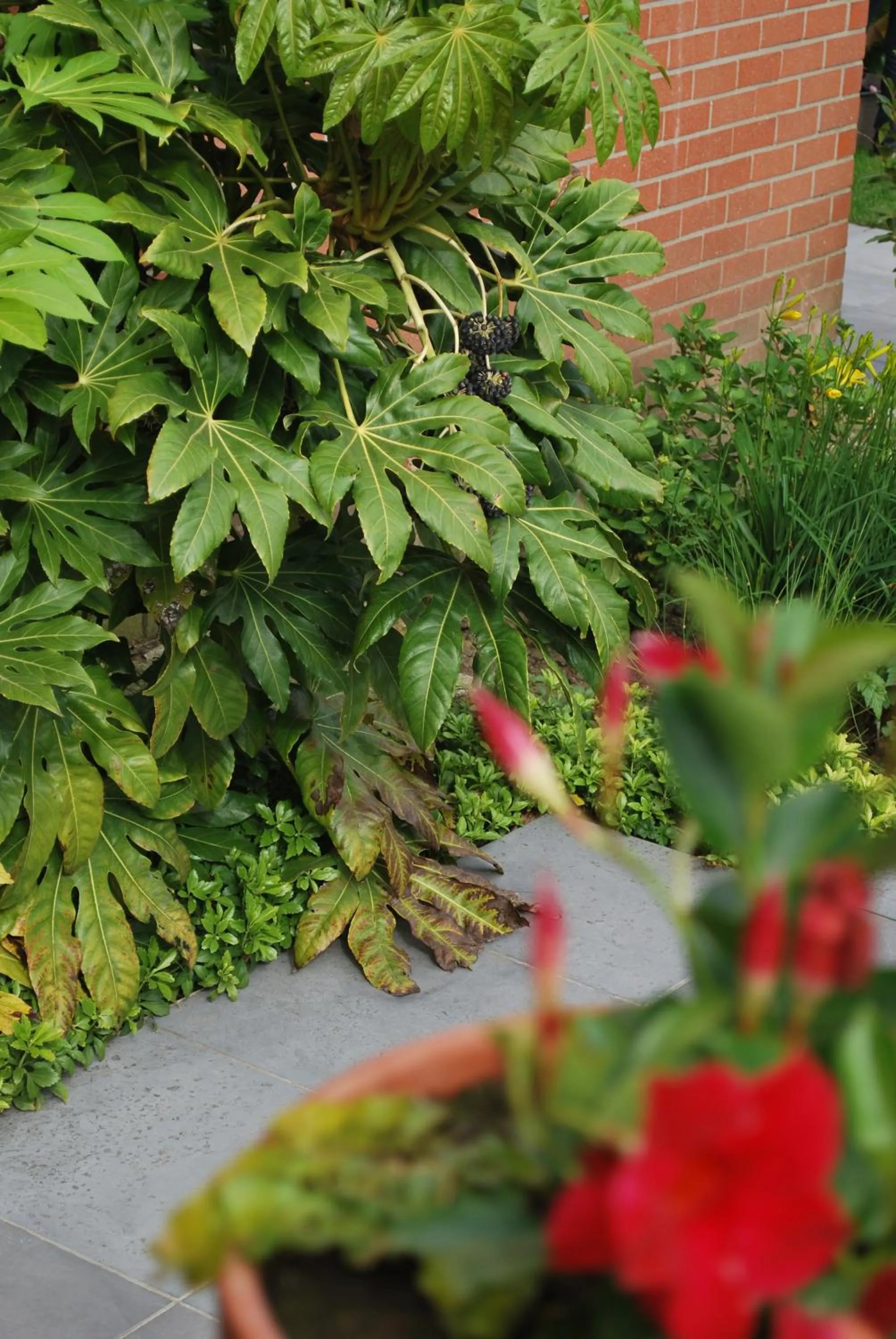 Property building in B&B Coup de Coeur