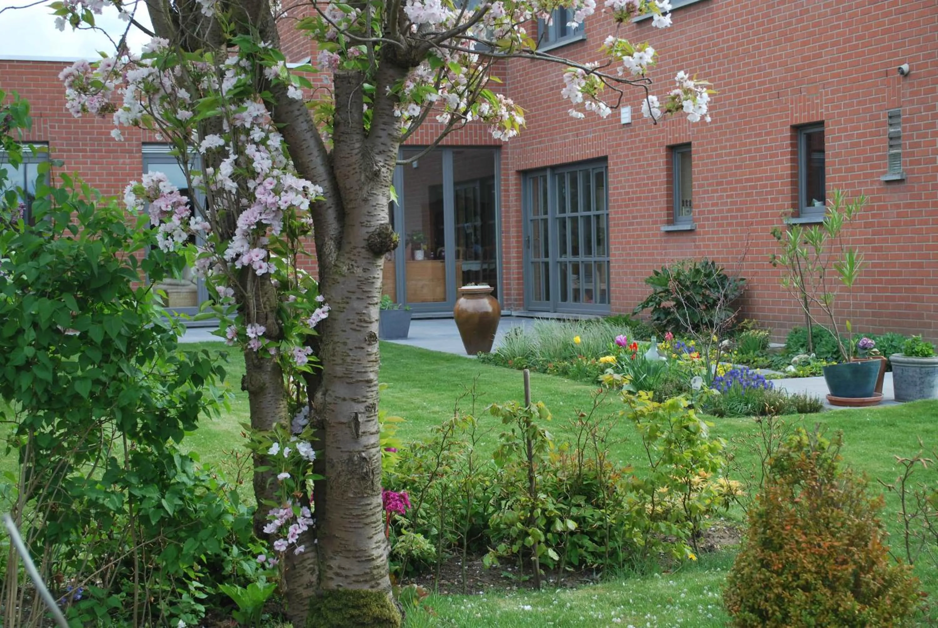 Garden in B&B Coup de Coeur