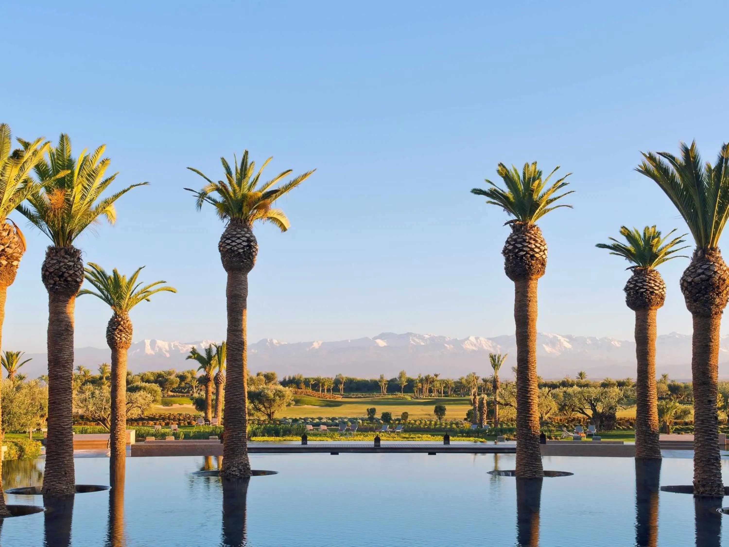 Pool view in Fairmont Royal Palm Marrakech