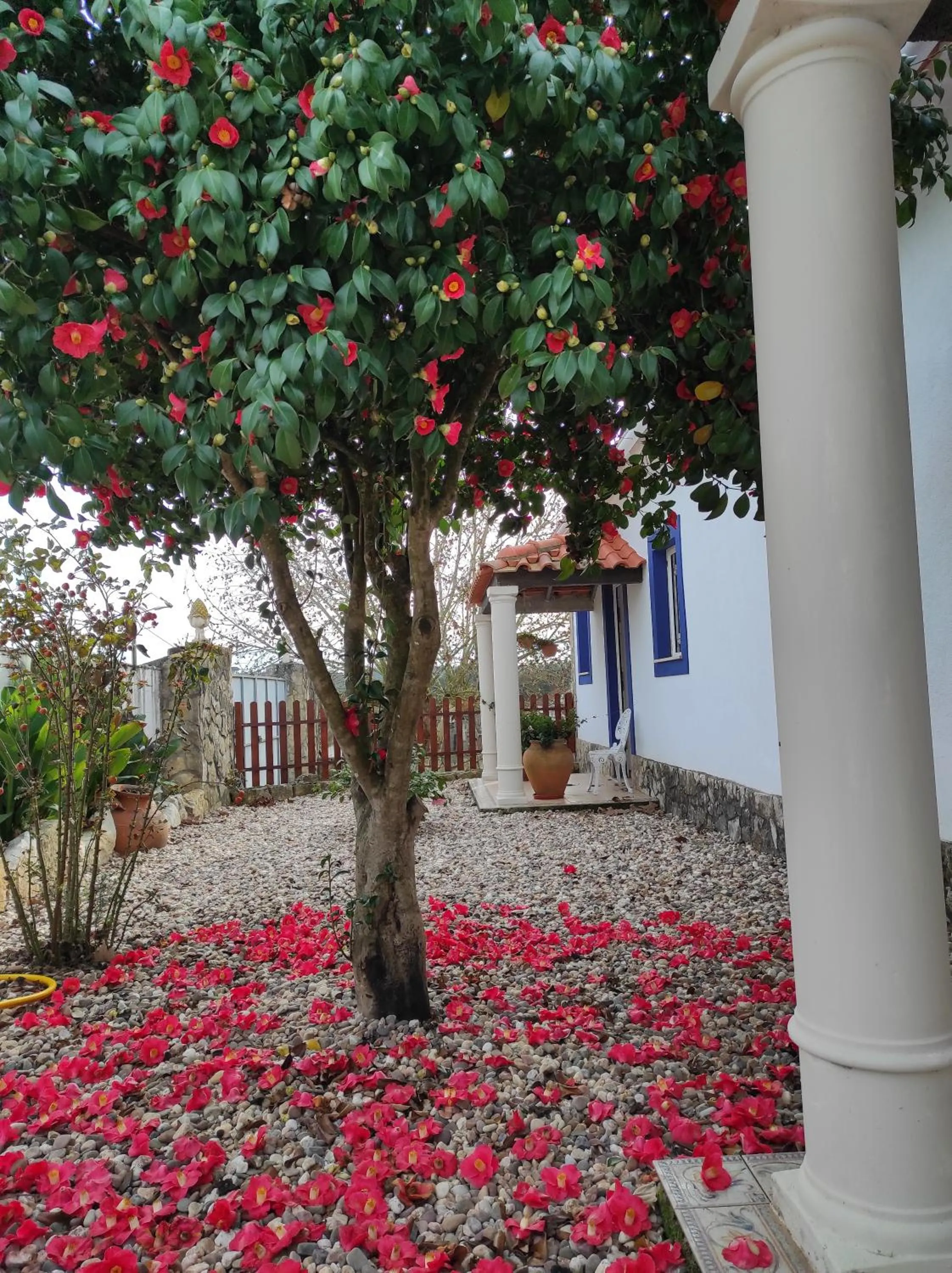 Facade/entrance in Fazenda do Marante