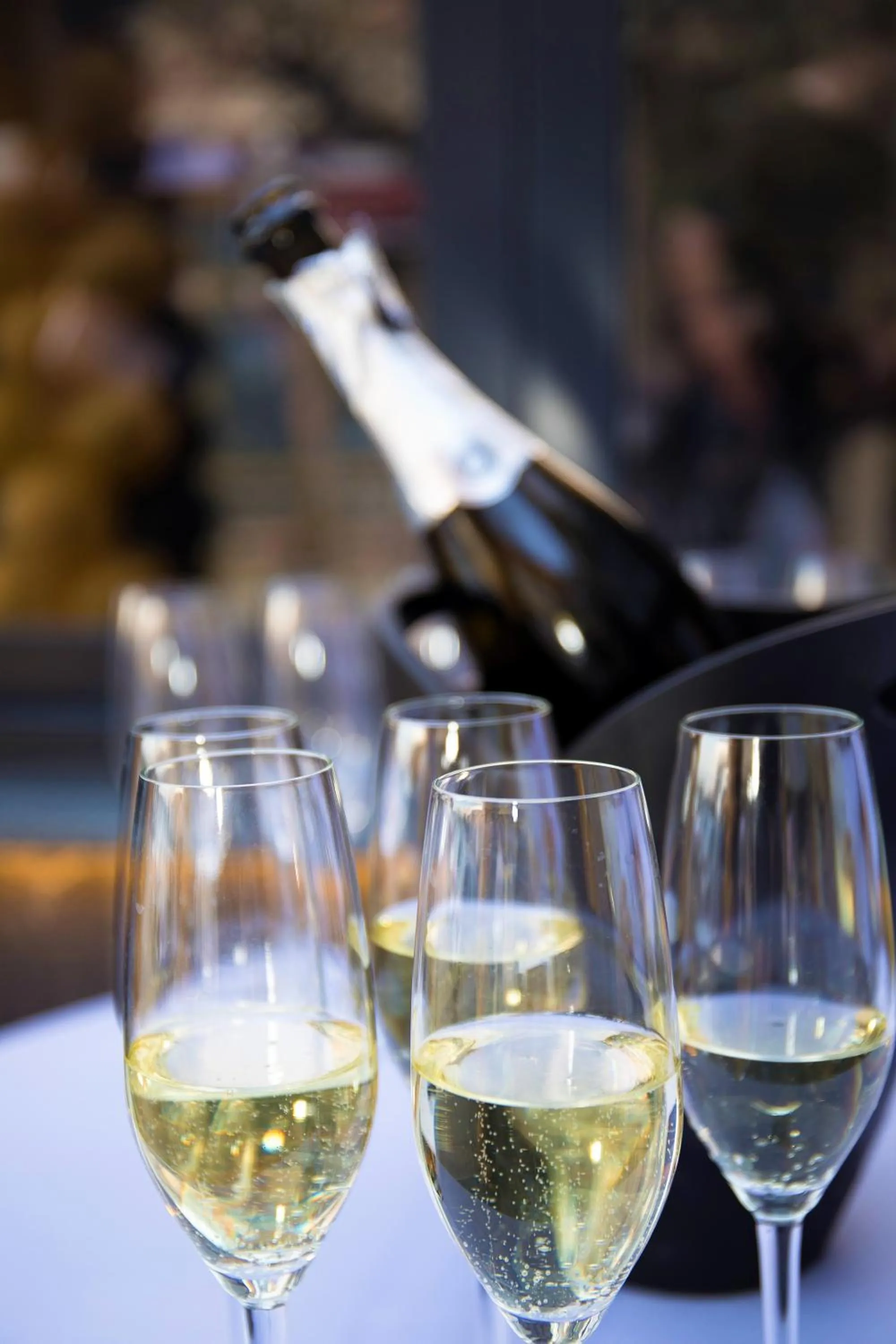 Drinks in Hotel Carpe Diem