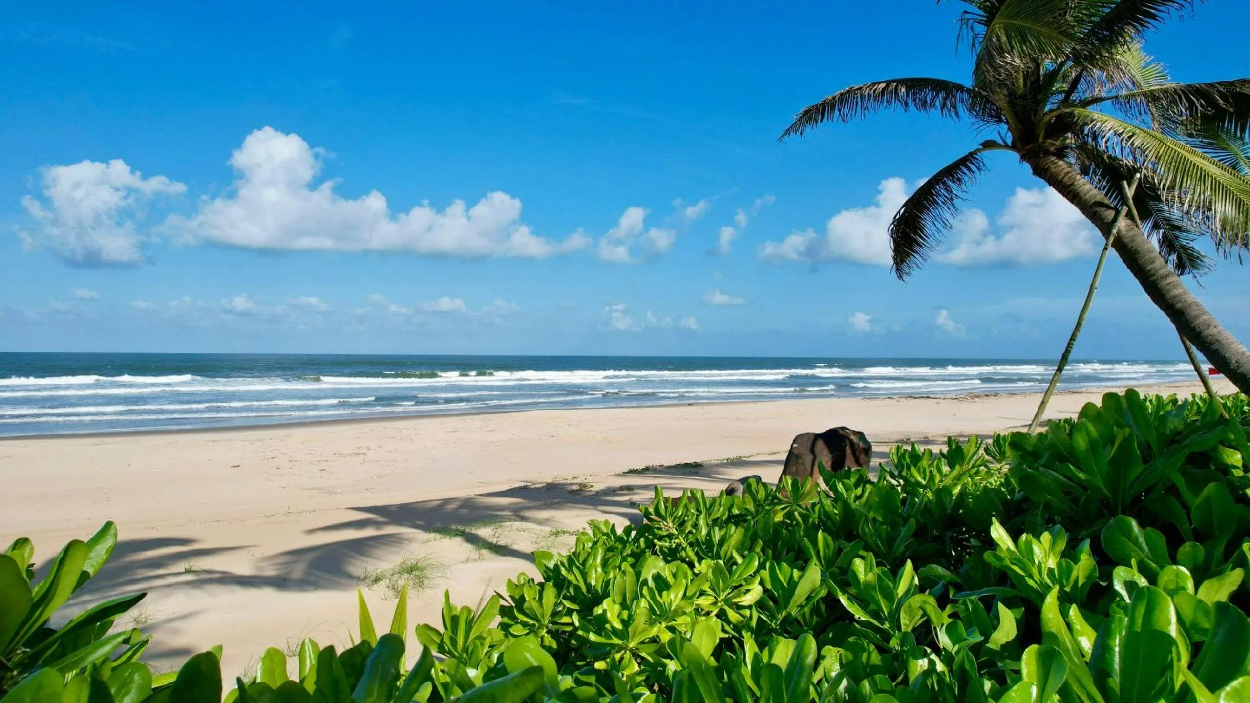 Beach in Bliss Hoi An Beach Resort & Wellness