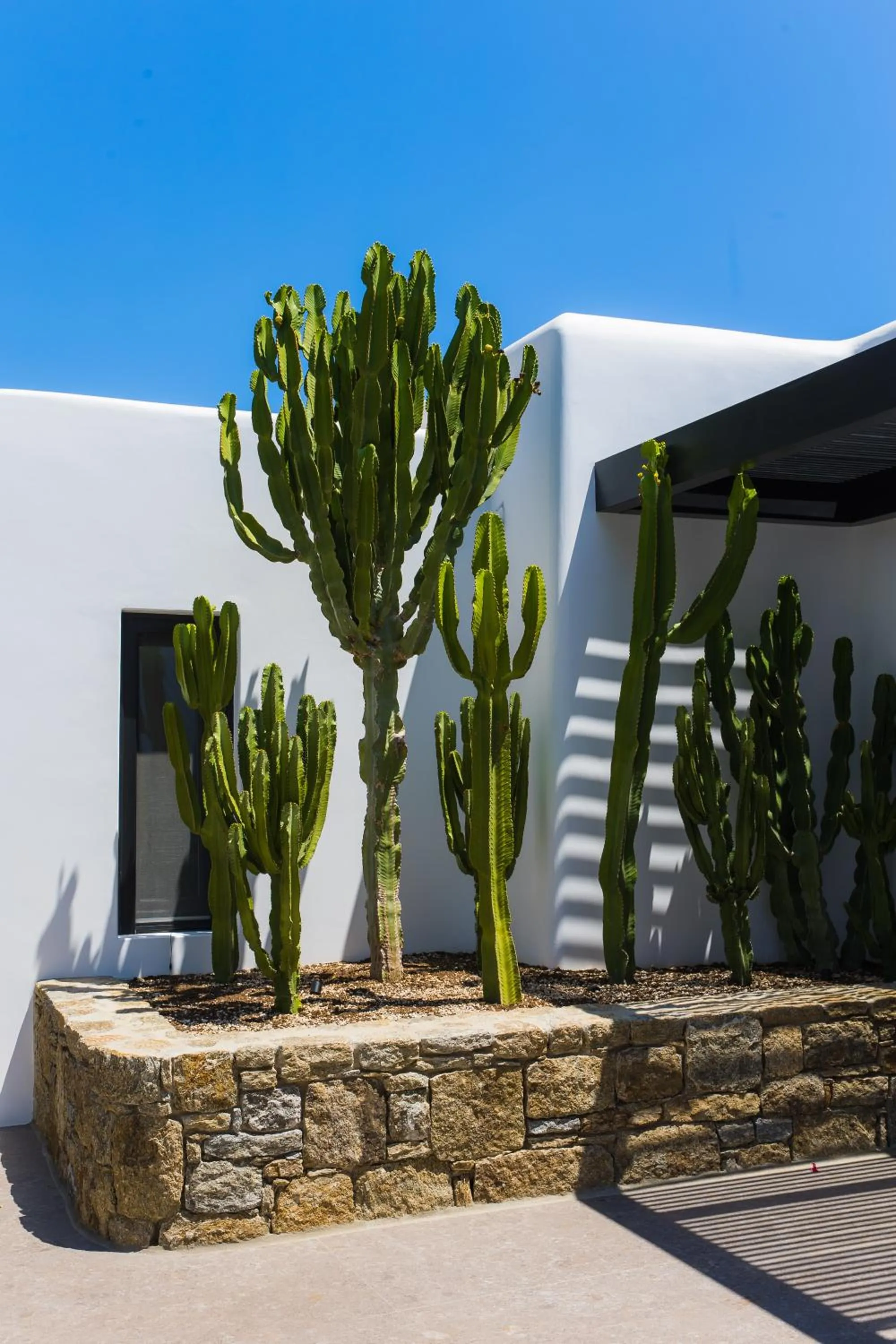 Natural landscape in Noima Boutique Hotel Mykonos