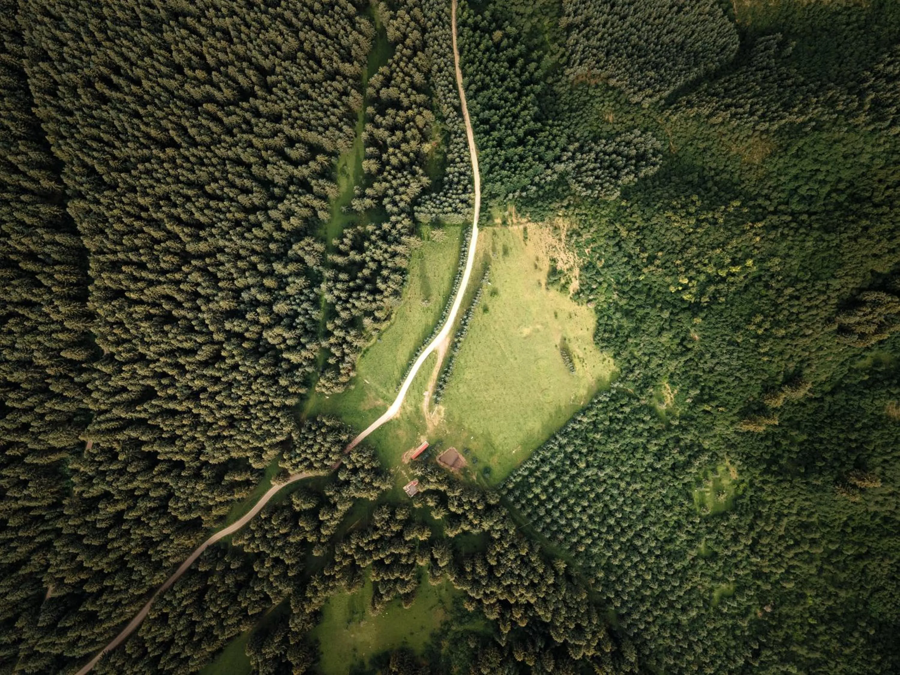 Other in Holiday Inn Xining Datong by IHG