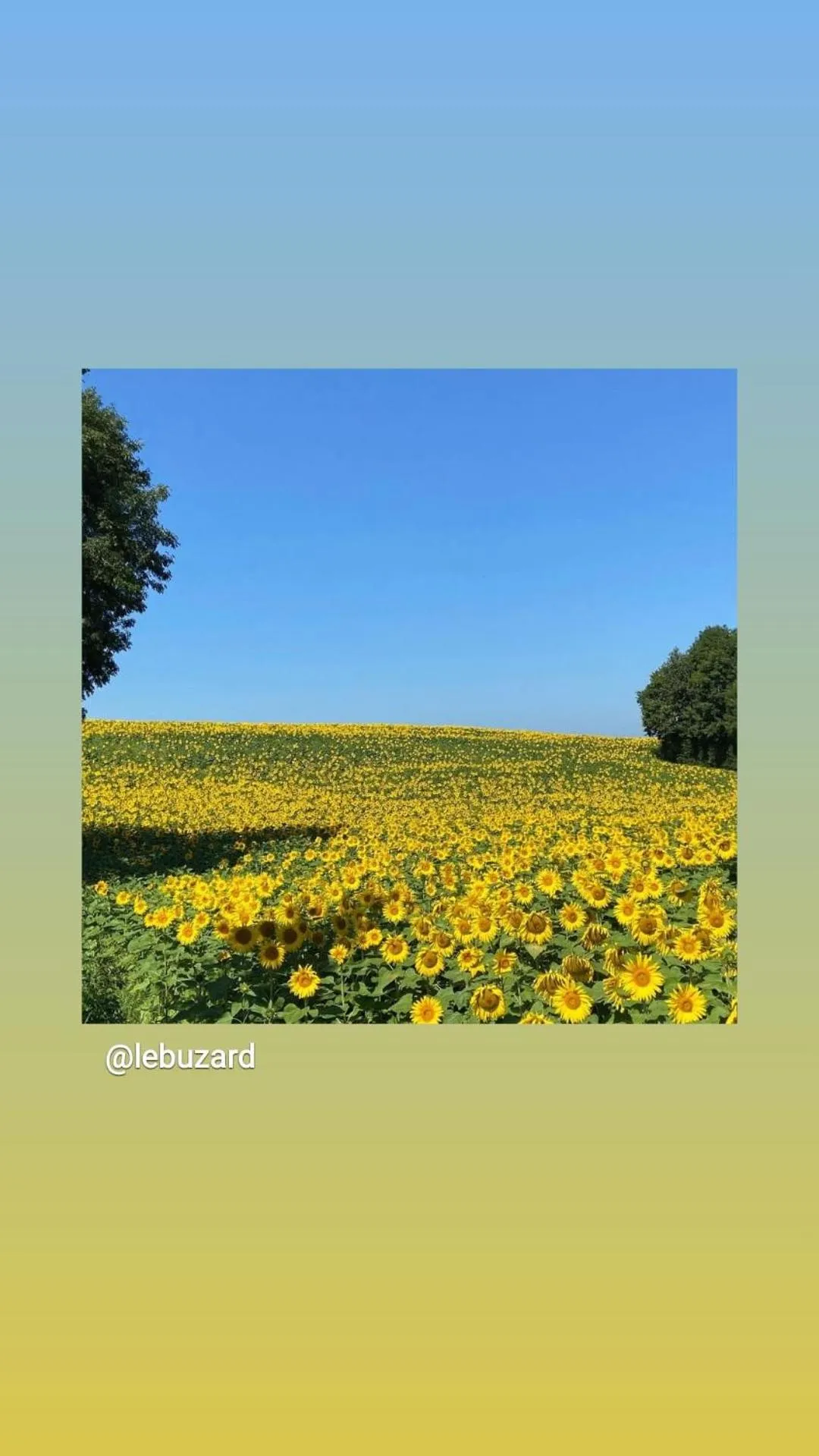 Natural landscape in La Maison 64 Chambre D'Hôtes