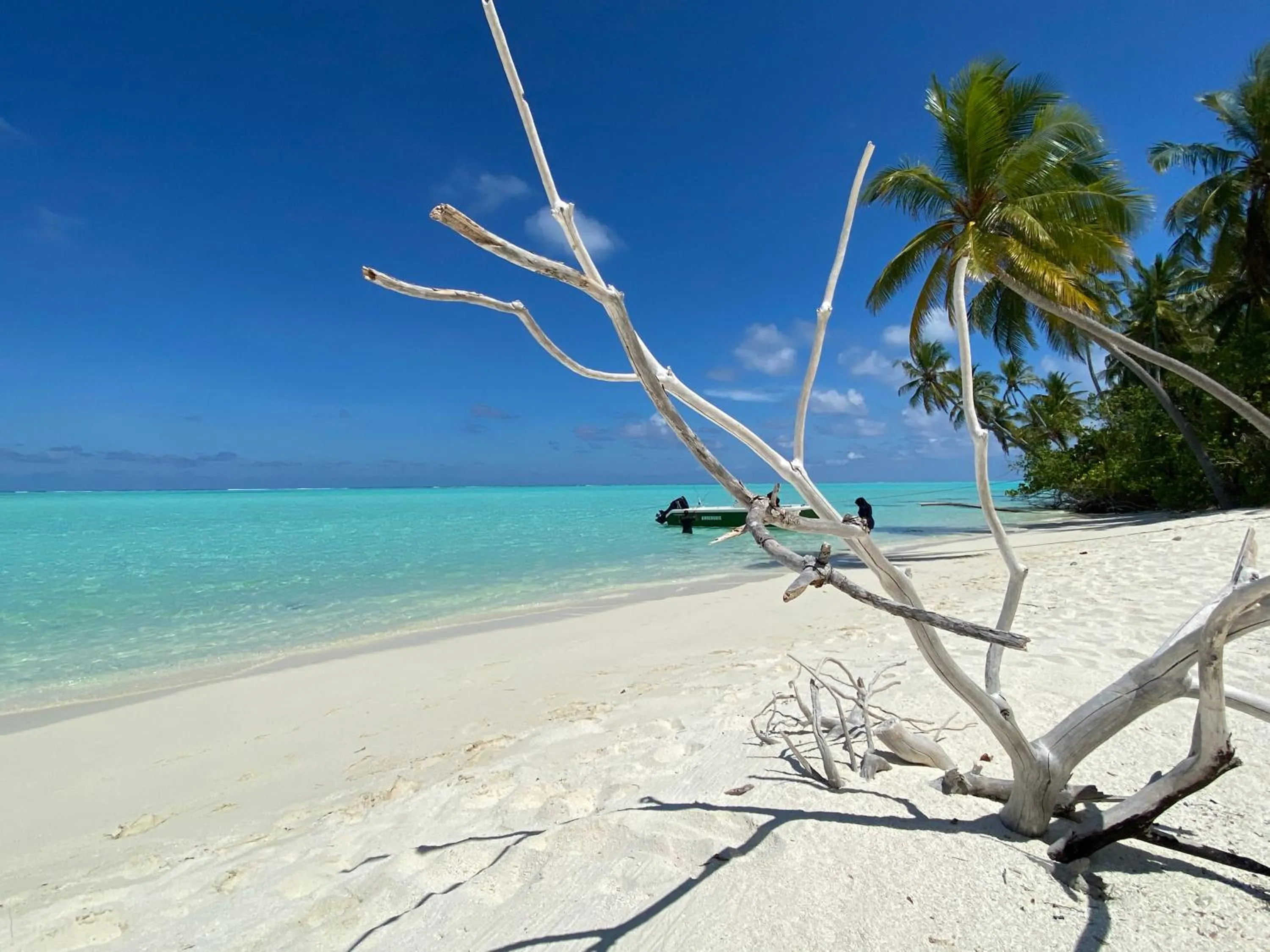 Beach in Alimas Holiday Retreat Maldives