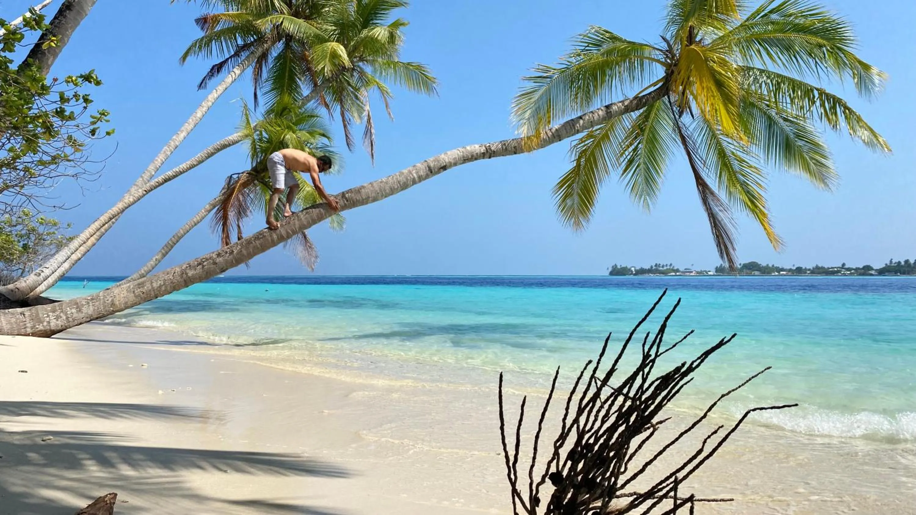 Natural landscape in Alimas Holiday Retreat Maldives