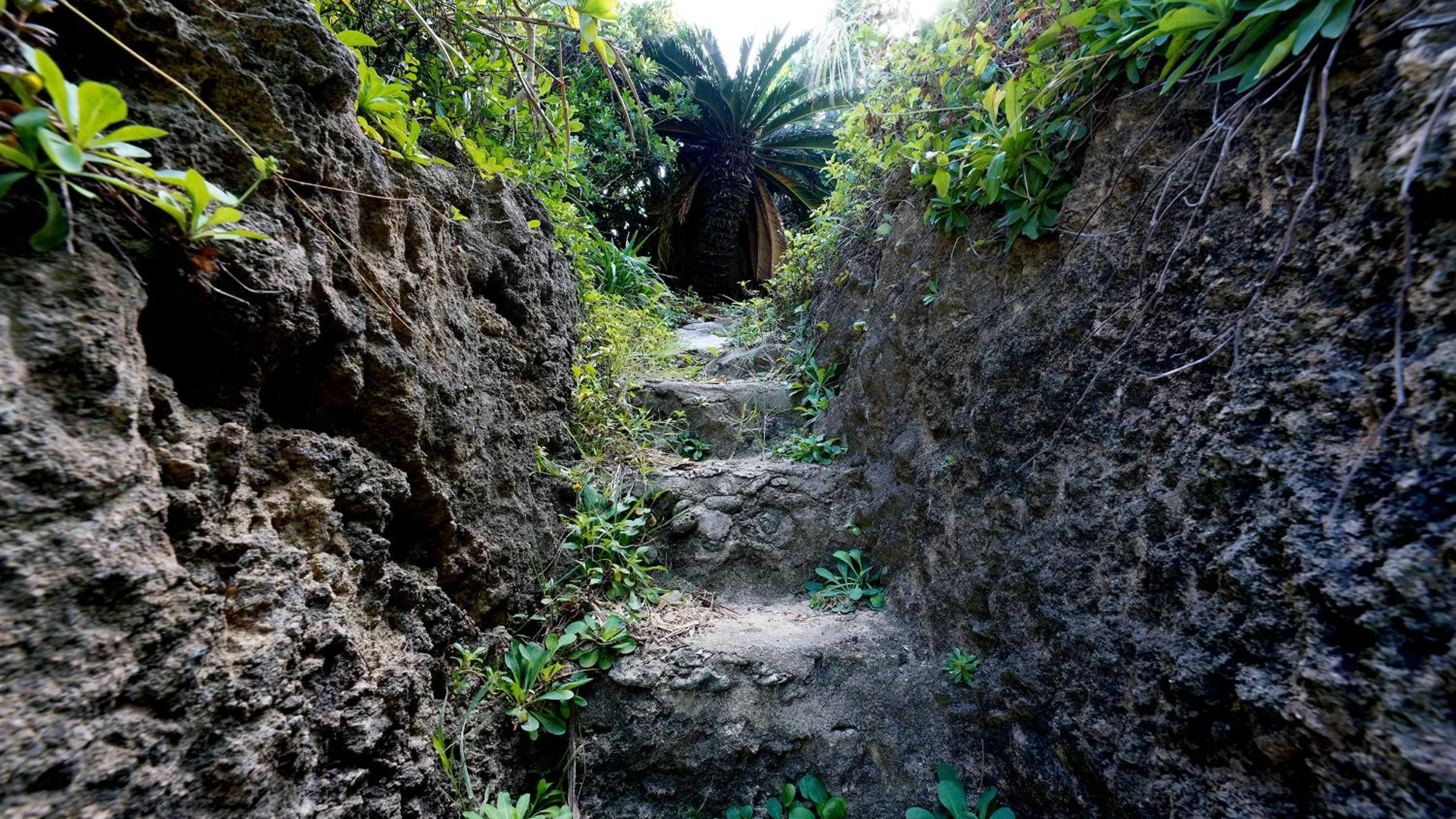 Natural landscape in SALTY HOUSE：海が目の前！