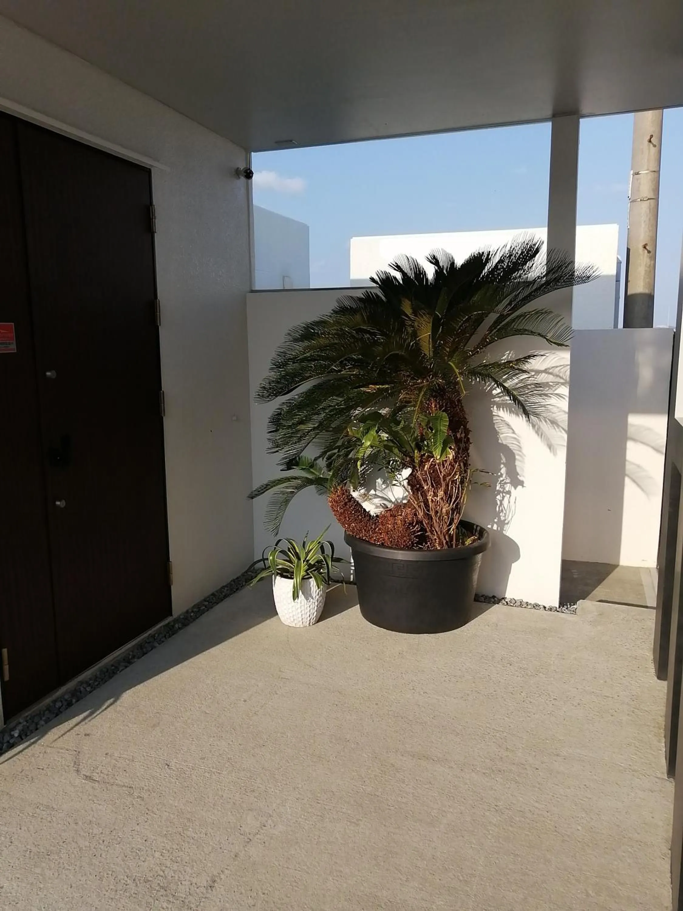 Day in SALTY HOUSE：海が目の前！