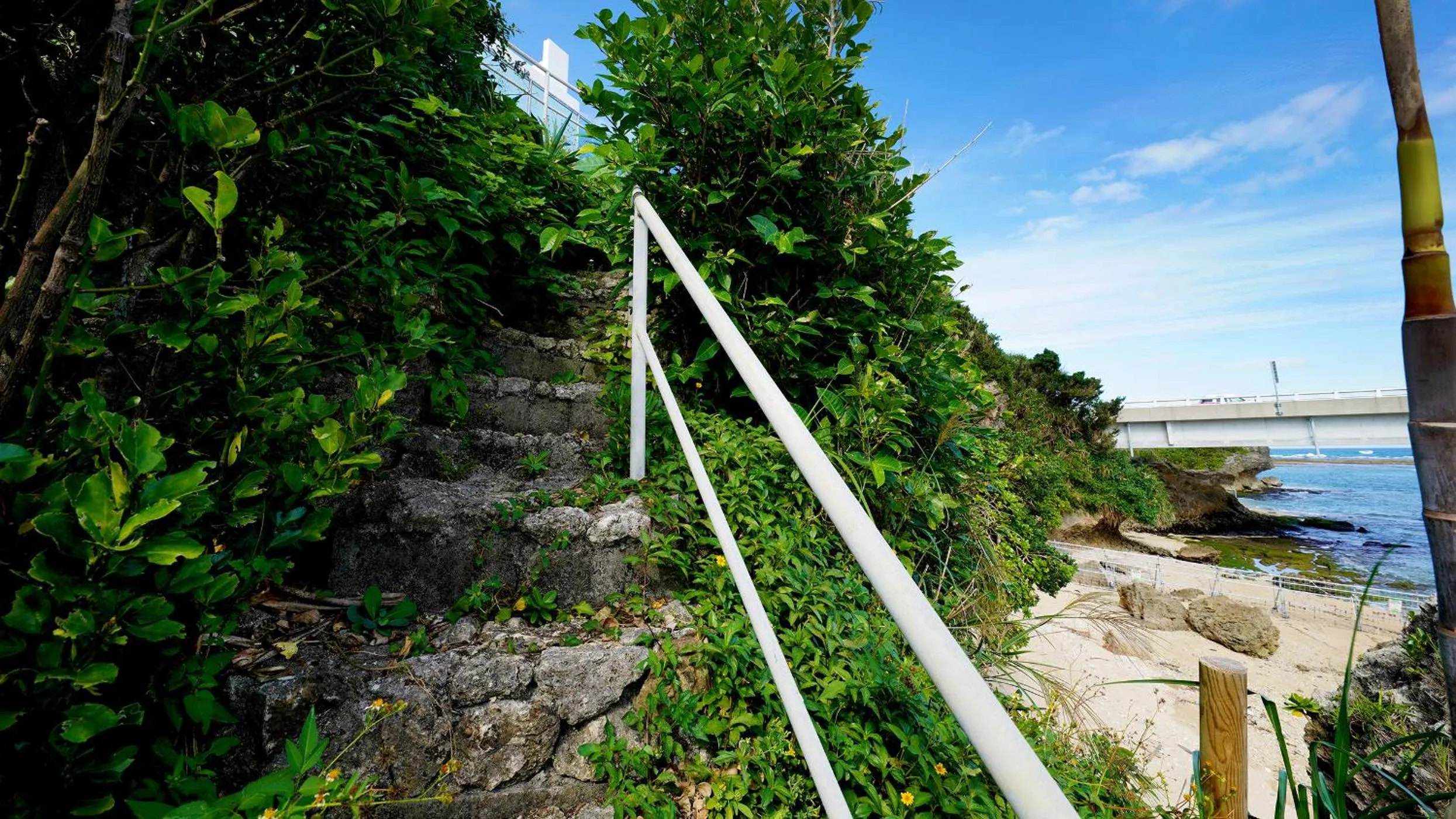Natural landscape in SALTY HOUSE：海が目の前！