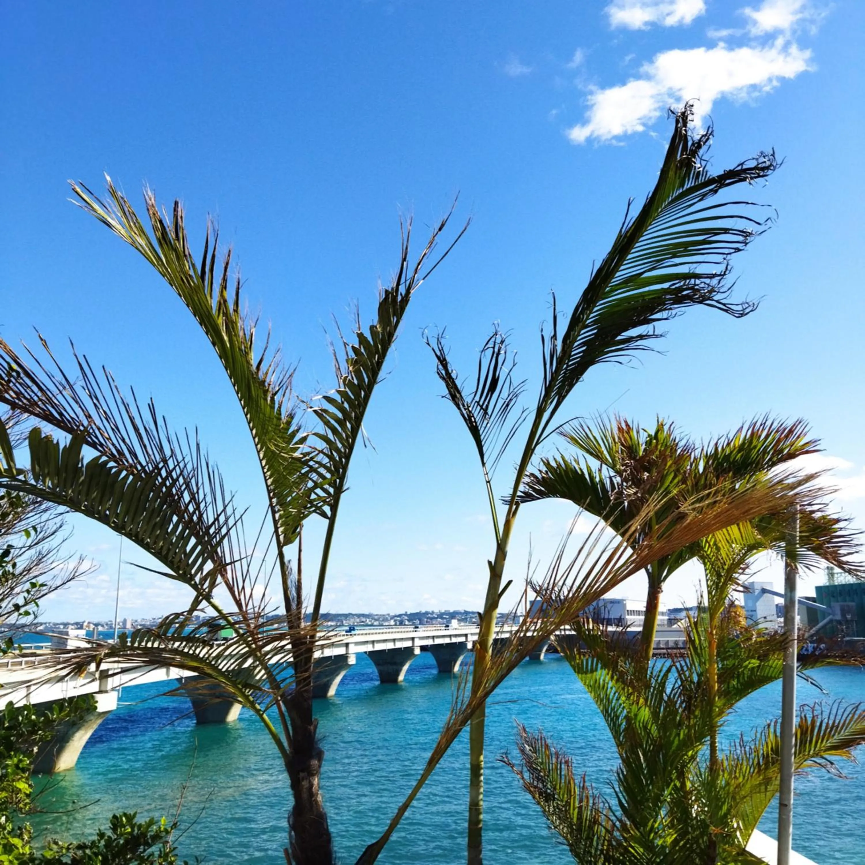 Day in SALTY HOUSE：海が目の前！