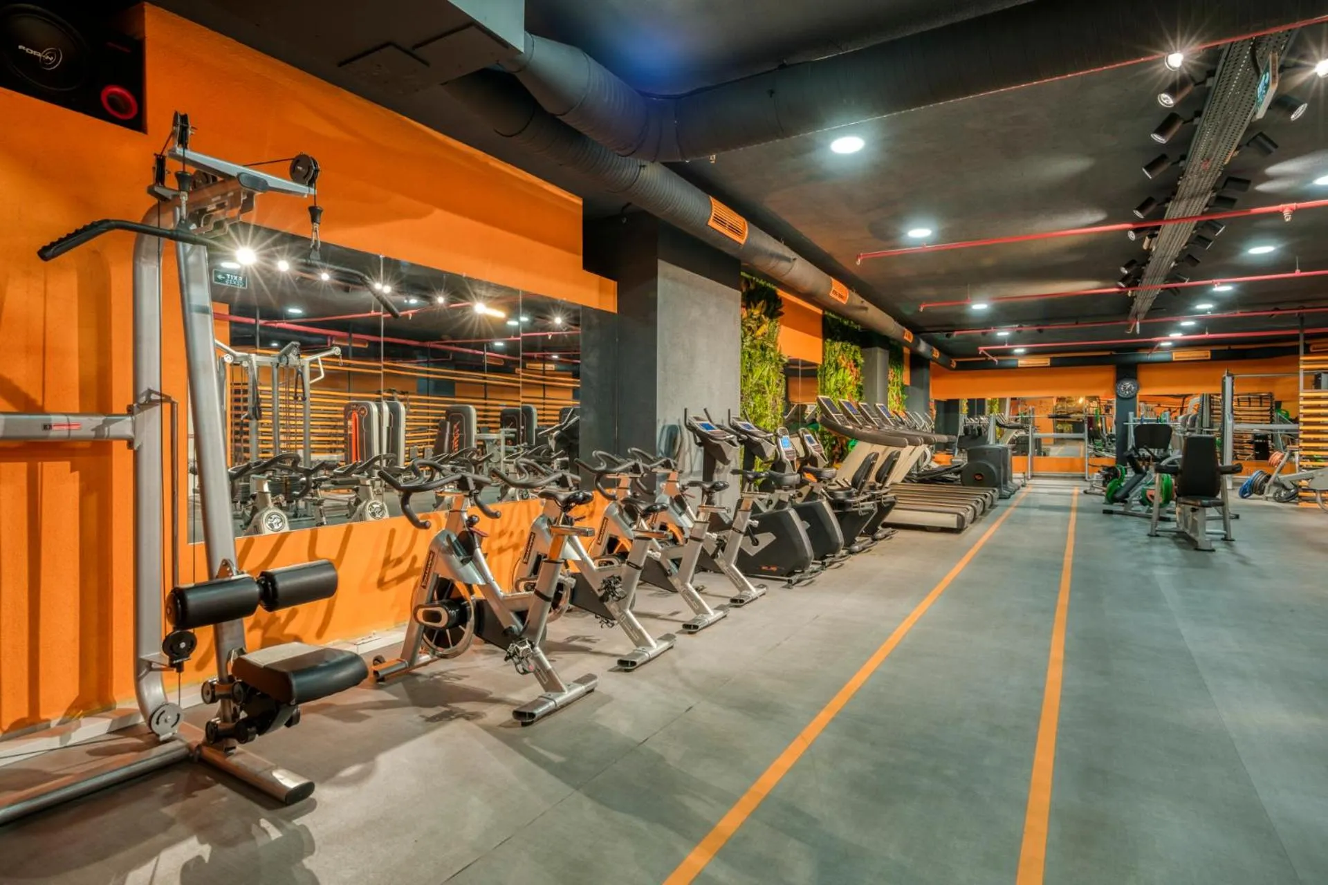 Fitness centre/facilities in Zin D Sefin Aparts