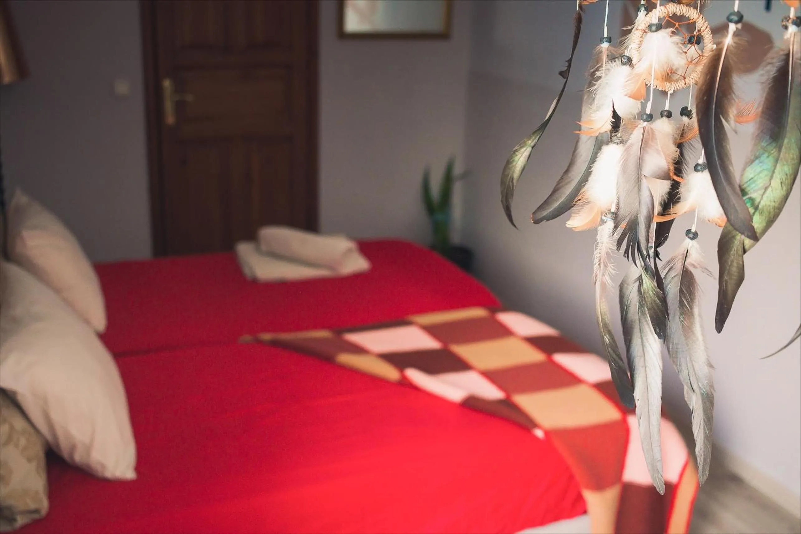 Bed in La Luna Hostel