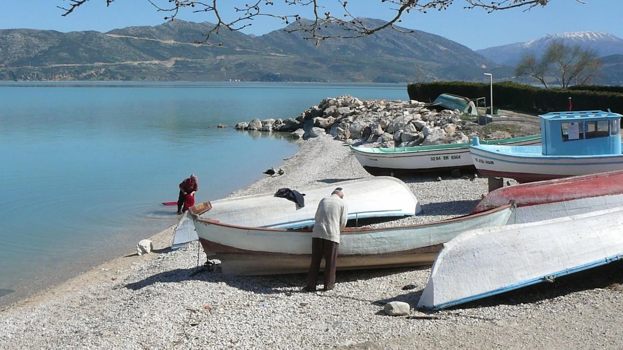 Ali's Pension ada alis