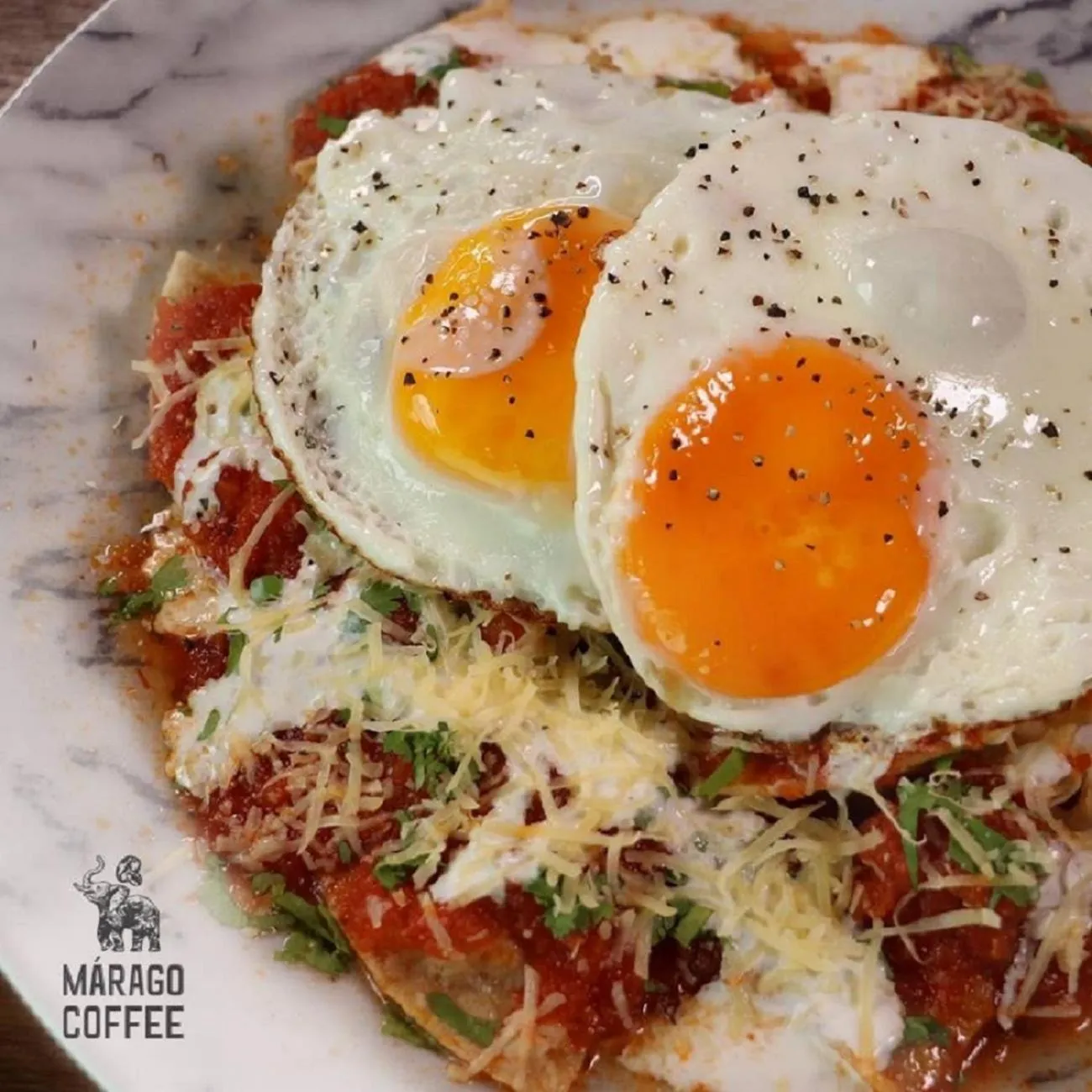 Breakfast in Hotel Plaza by Kavia