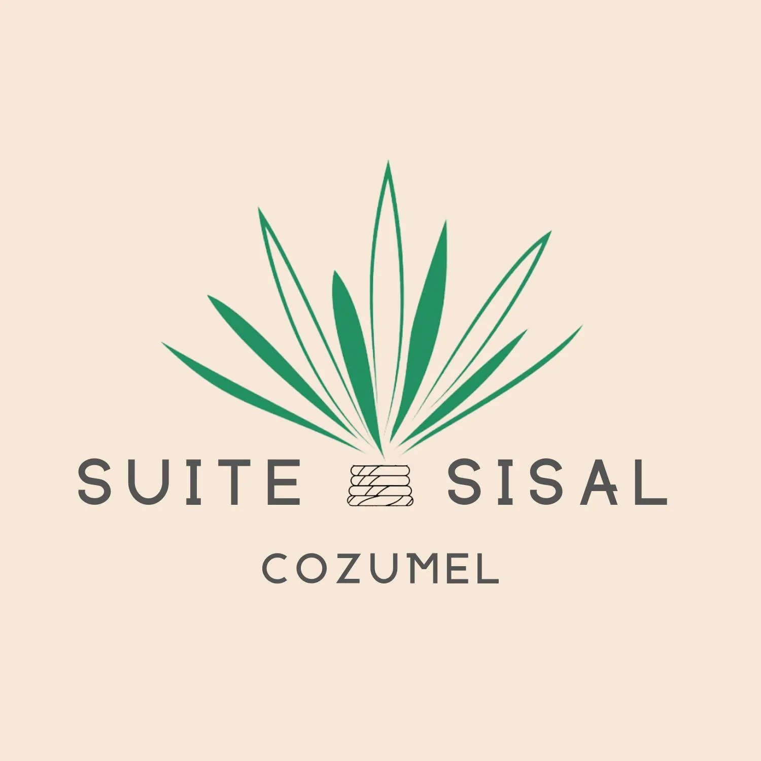 Logo/Certificate/Sign in Brand New Condo with Rooftop Pool