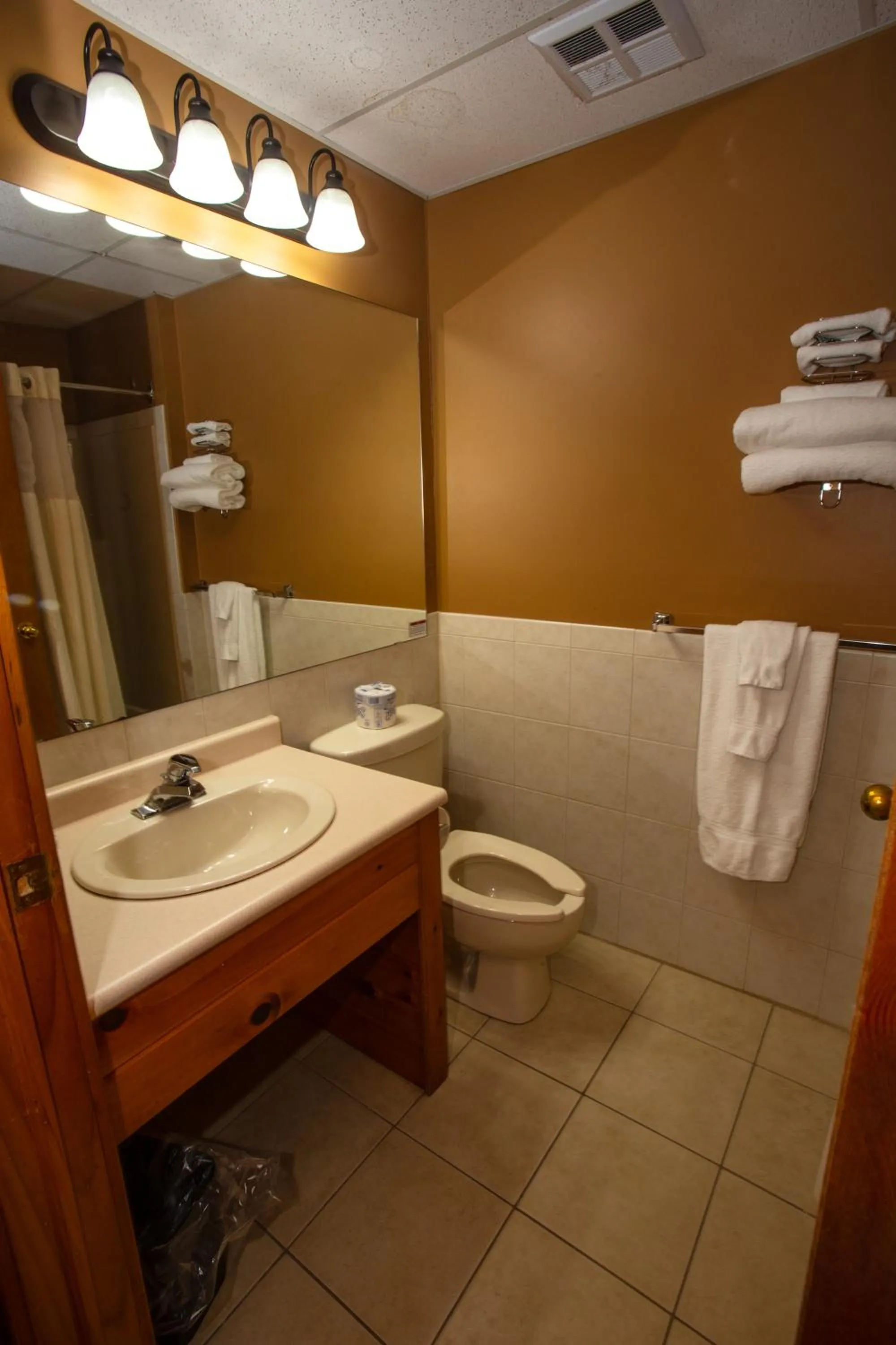 Toilet in Oakwood Resort