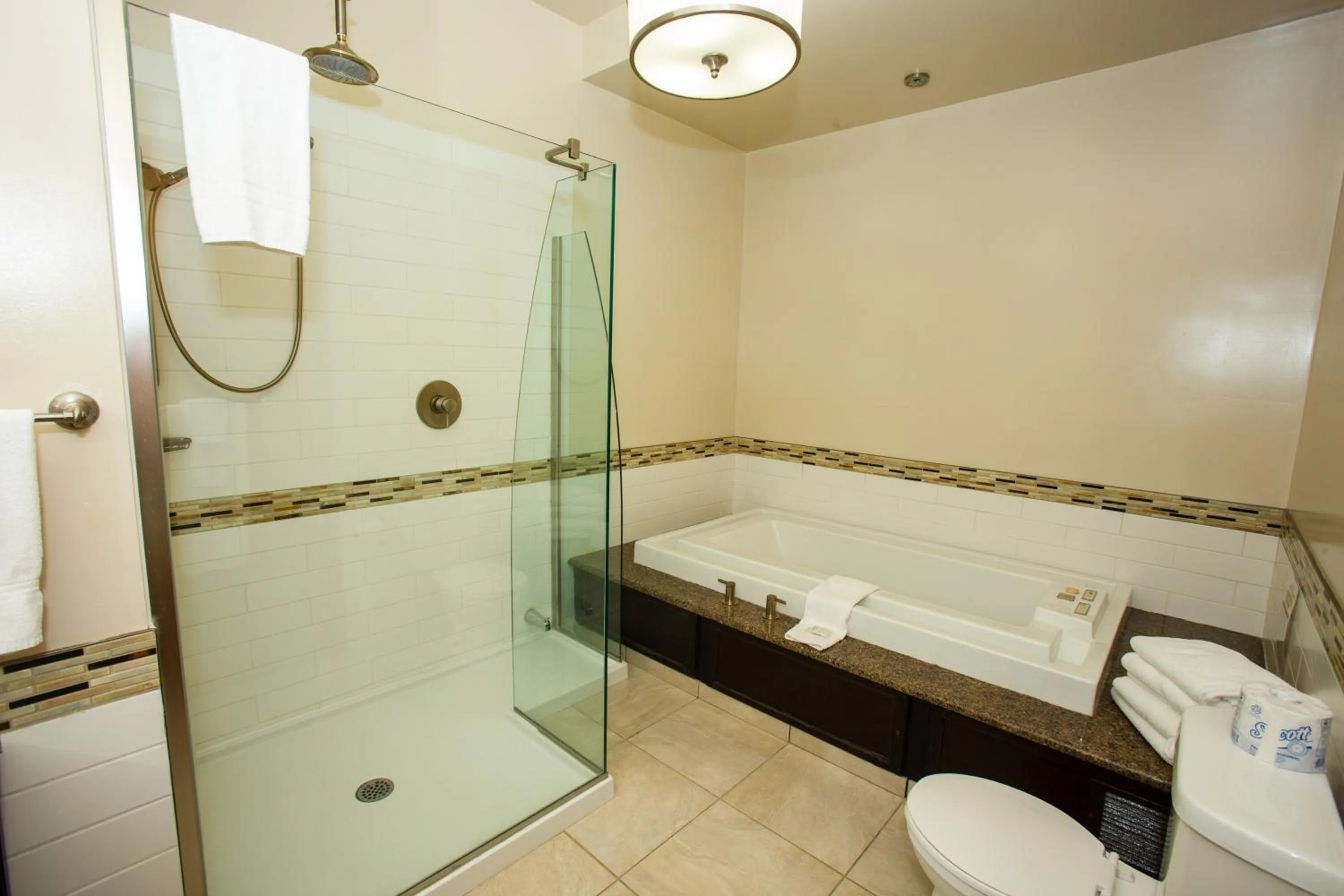 Toilet in Oakwood Resort