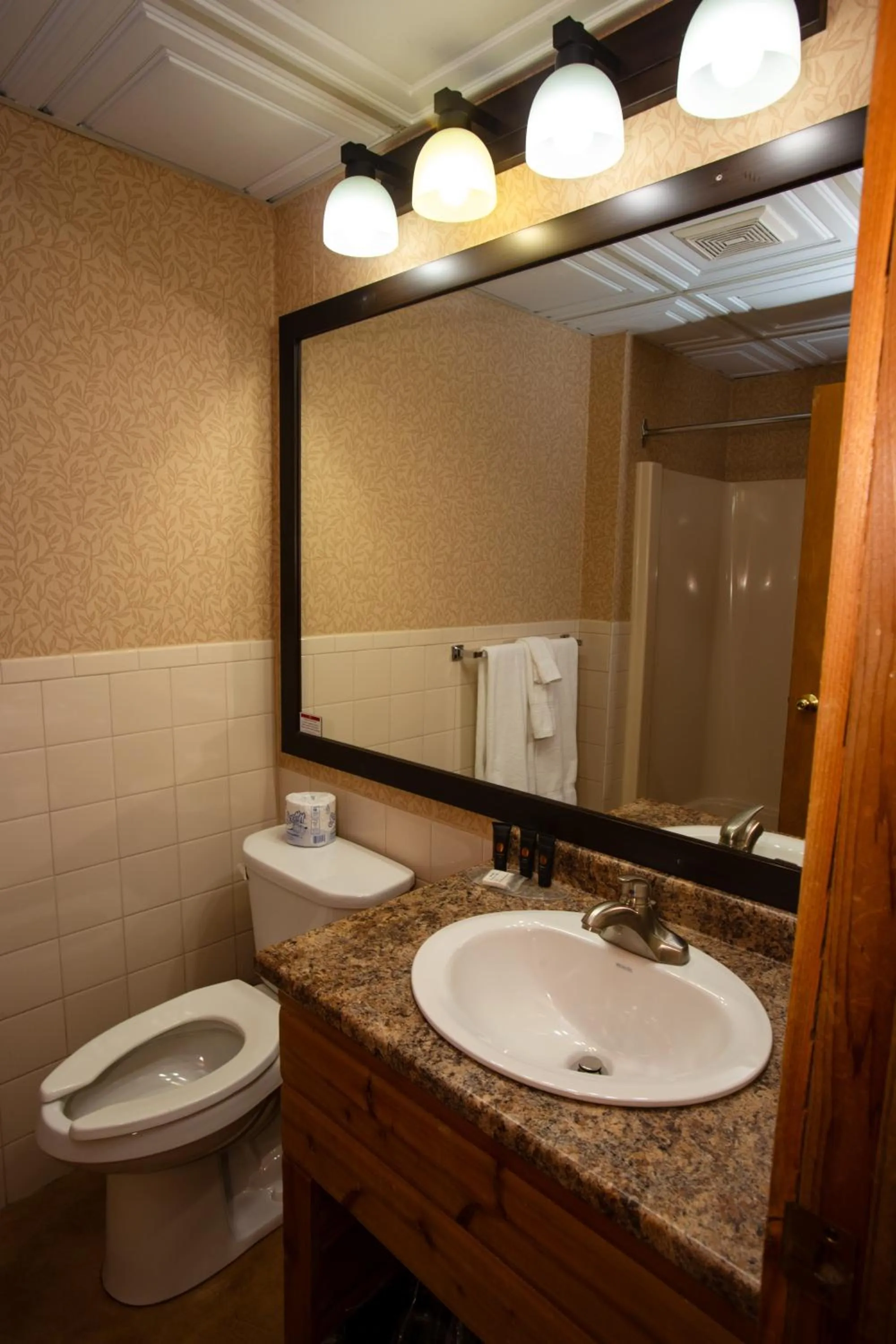 Toilet in Oakwood Resort