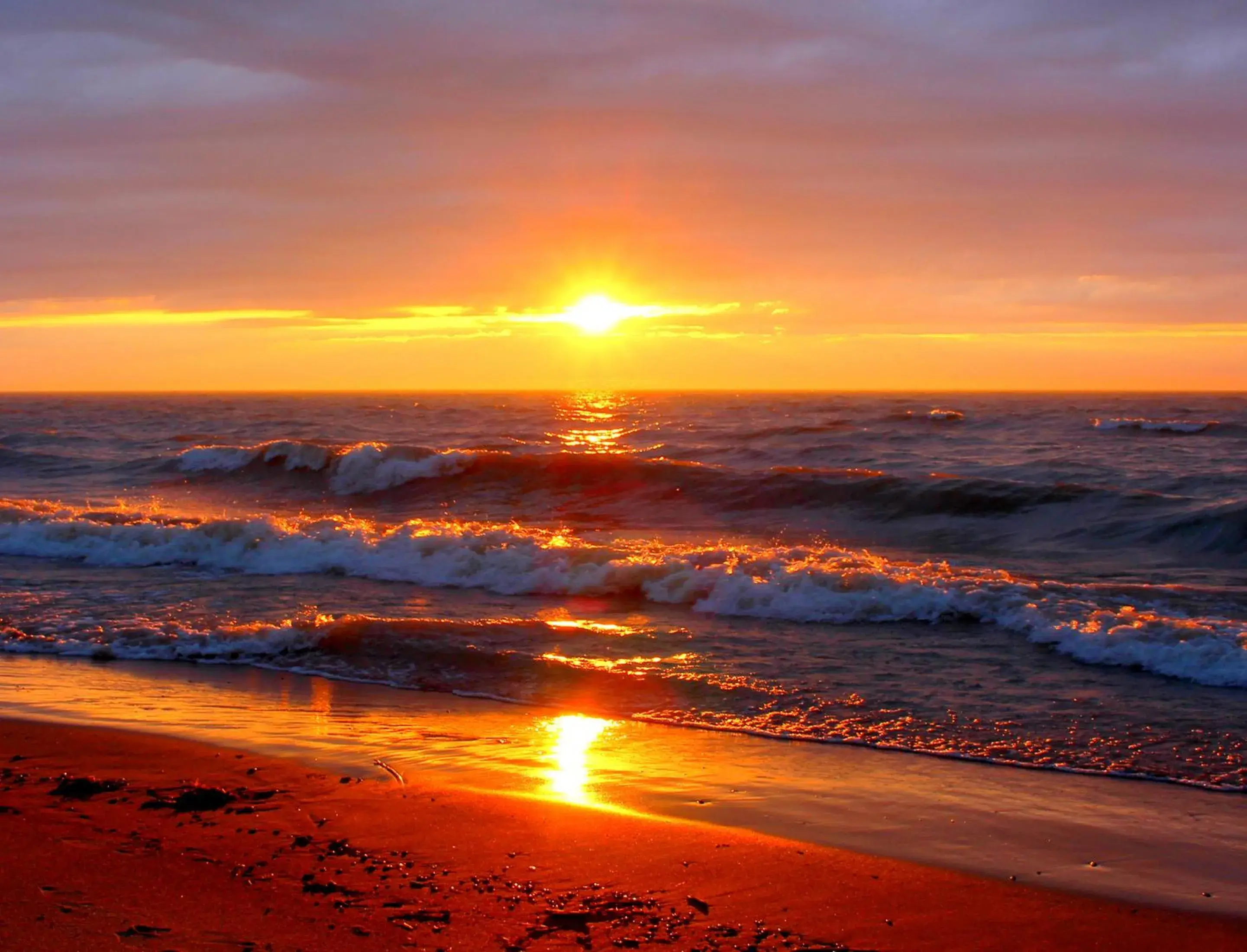 Deluxe King Room in Oakwood Resort Deluxe King Room in Oakwood Resort