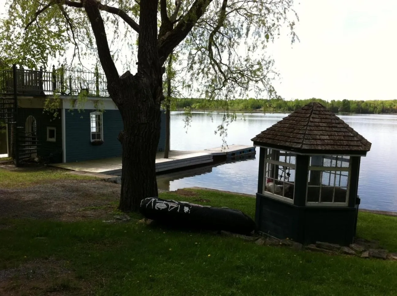 Windswept on the Trent
