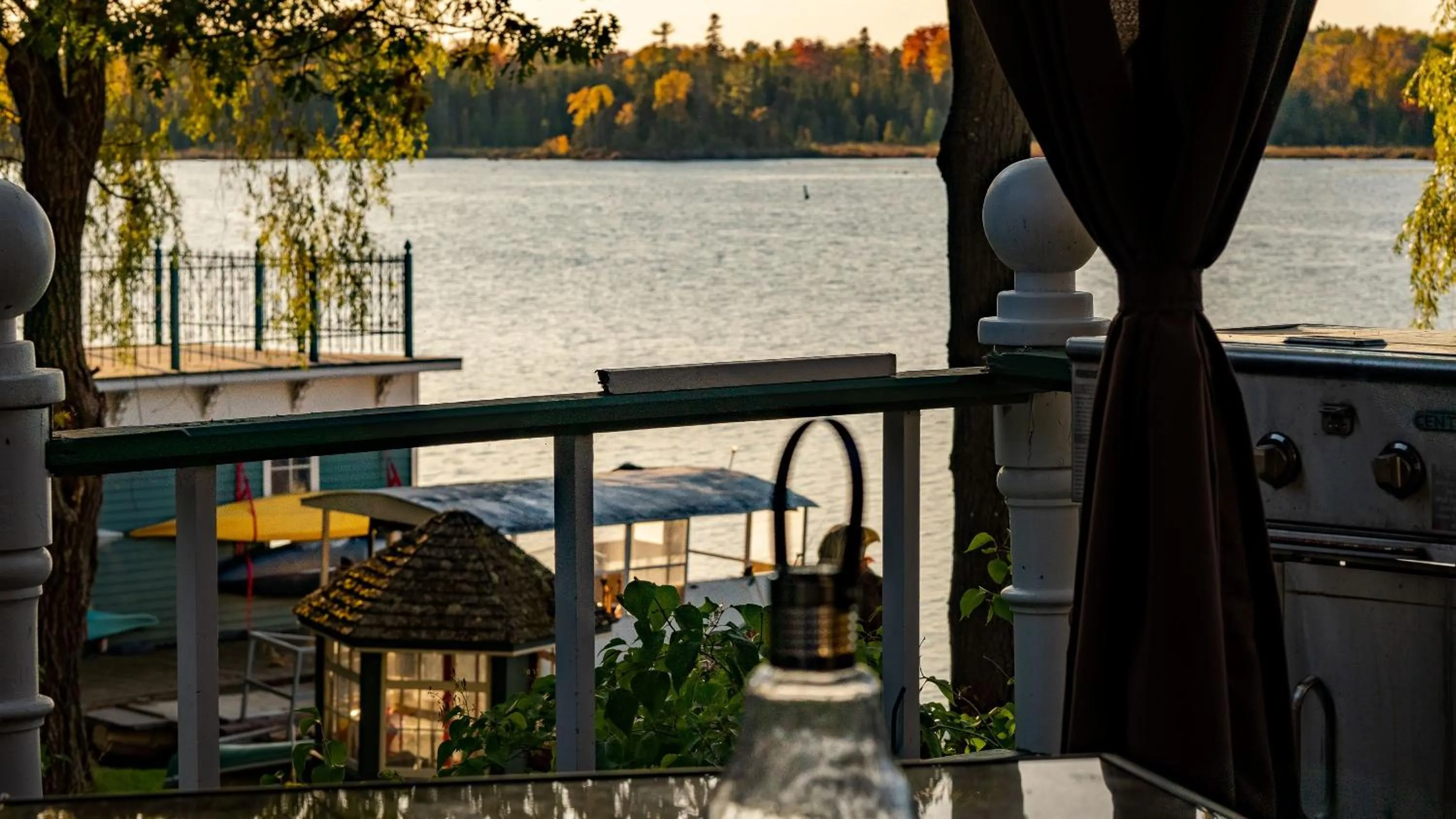 Windswept on the Trent