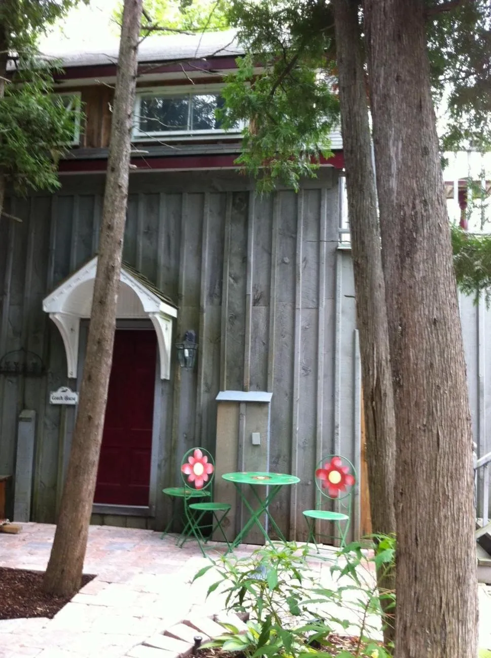 Windswept on the Trent