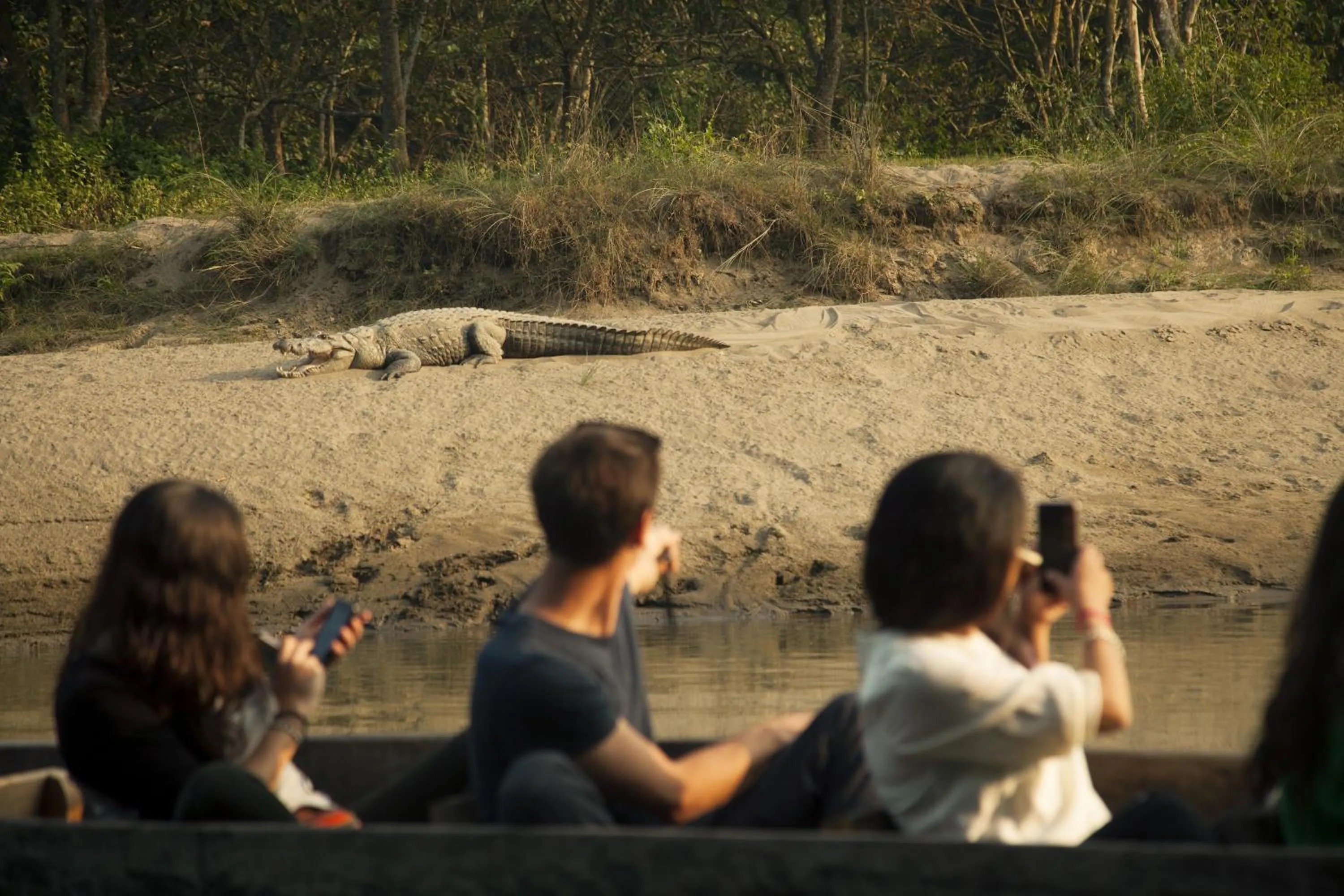 Natural landscape in Green Mansions Jungle Resort