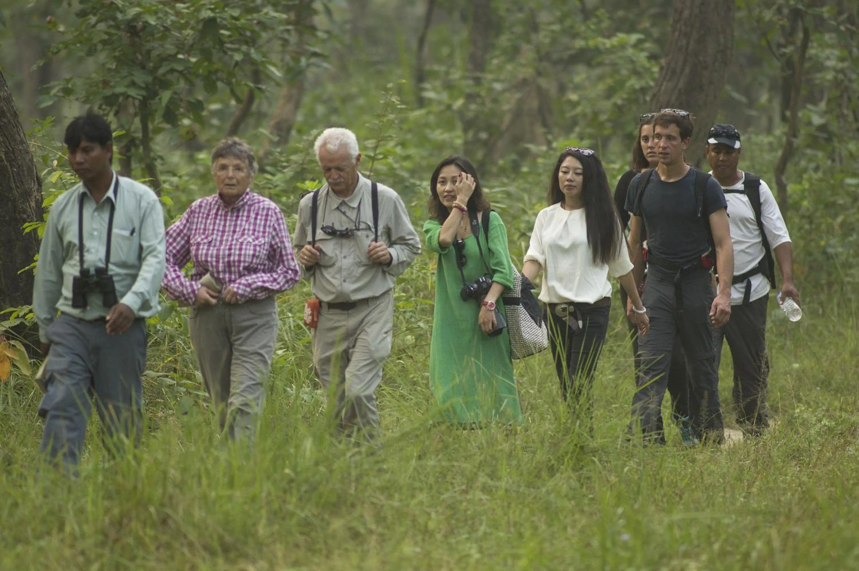 Nearby landmark in Green Mansions Jungle Resort