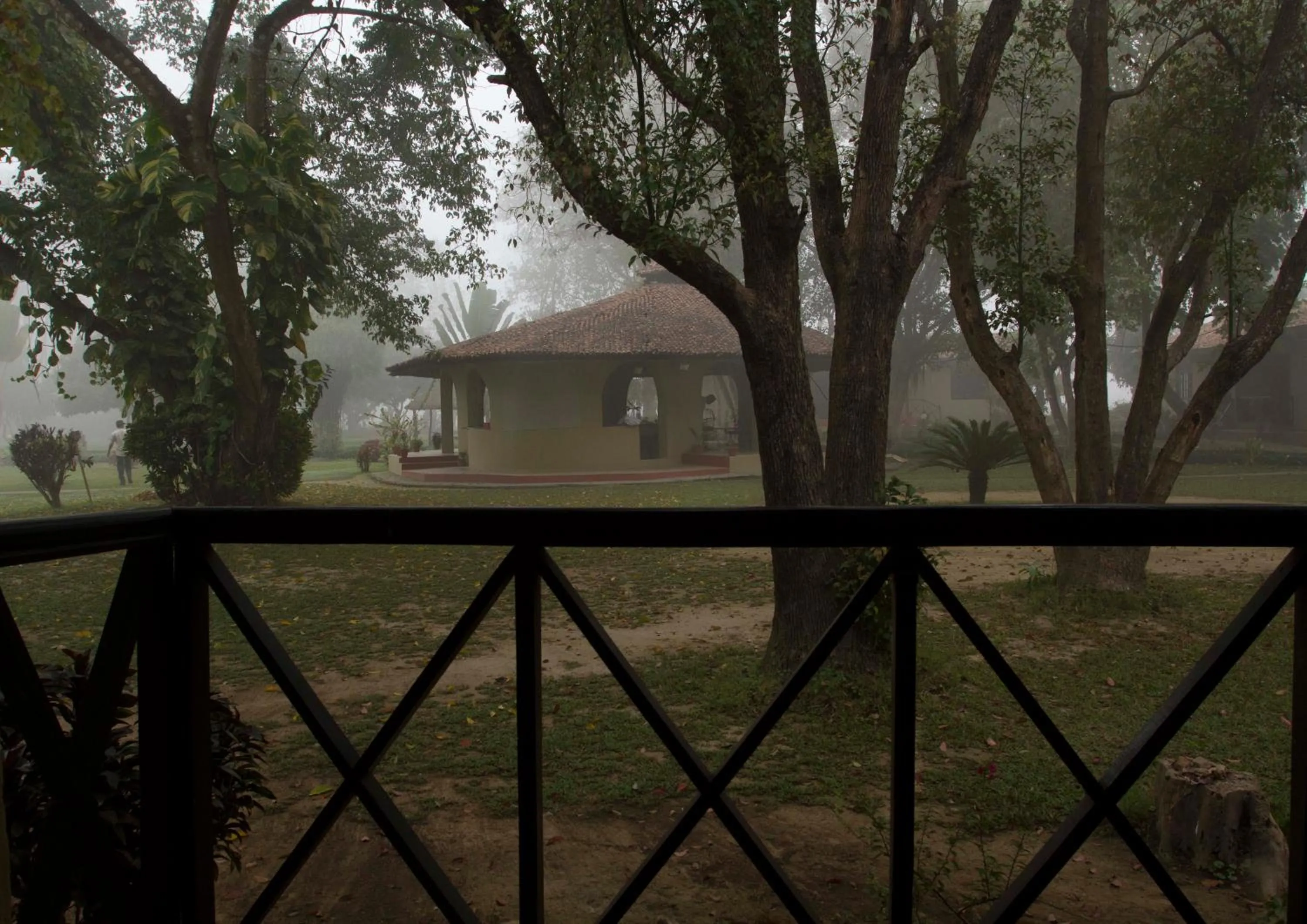 Garden view in Green Mansions Jungle Resort